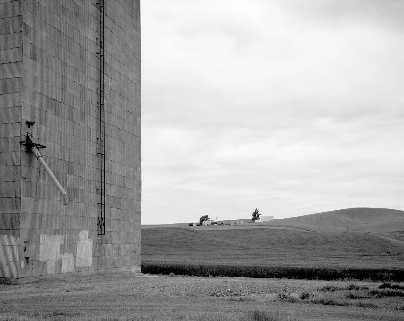 "Palouse Region, Eastern Washington", 1990