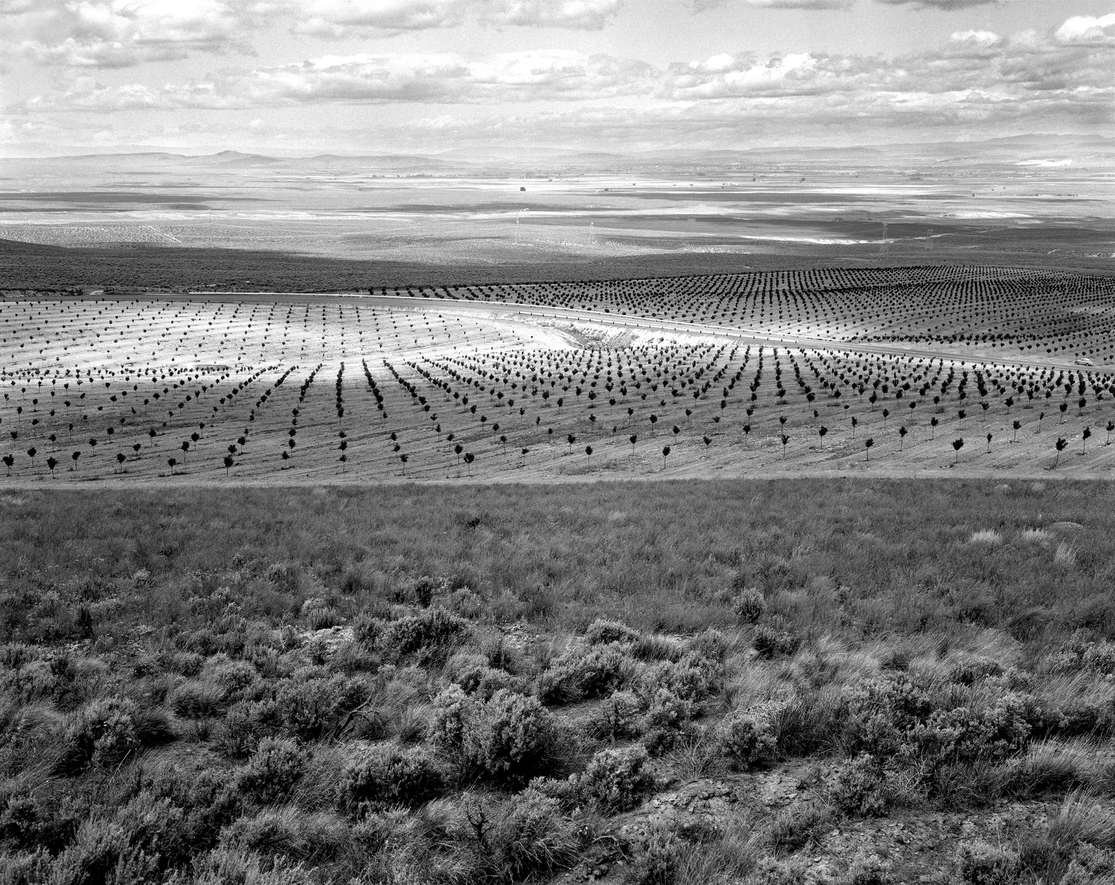 "Roza District, near Mabton, Washington", 1984