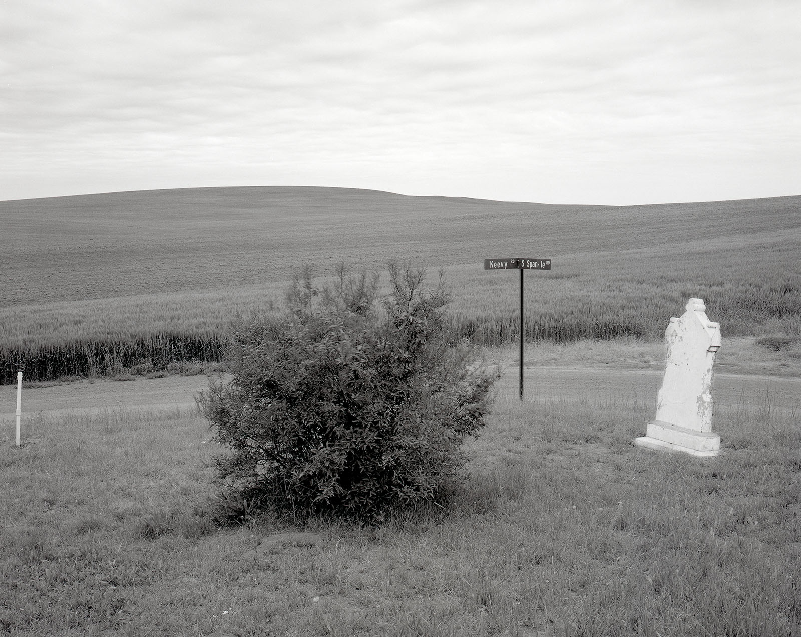 "Palouse Region, Eastern Washington", 1990