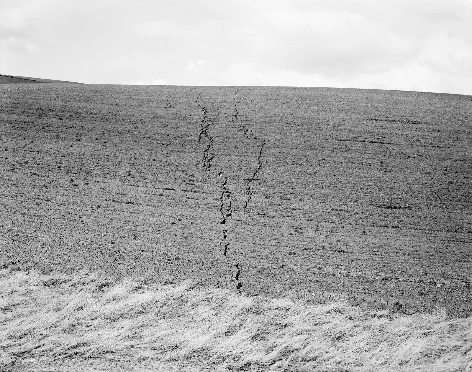 "Palouse Region, Eastern Washington", 1990