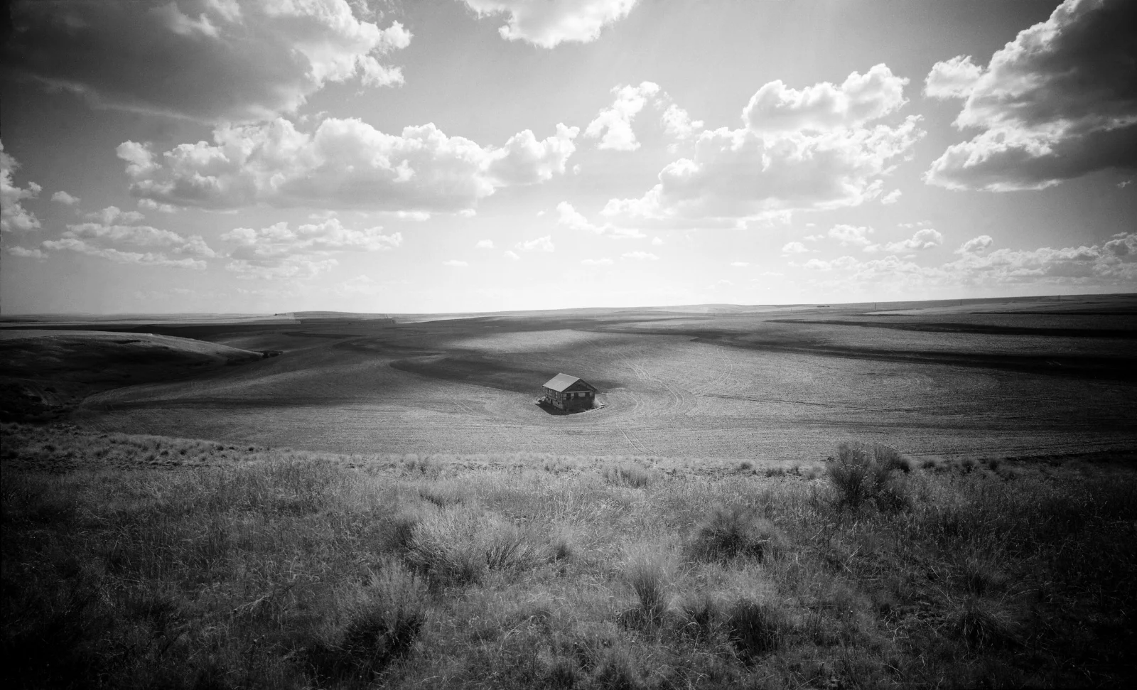 "Rufus, Central Oregon", 1988