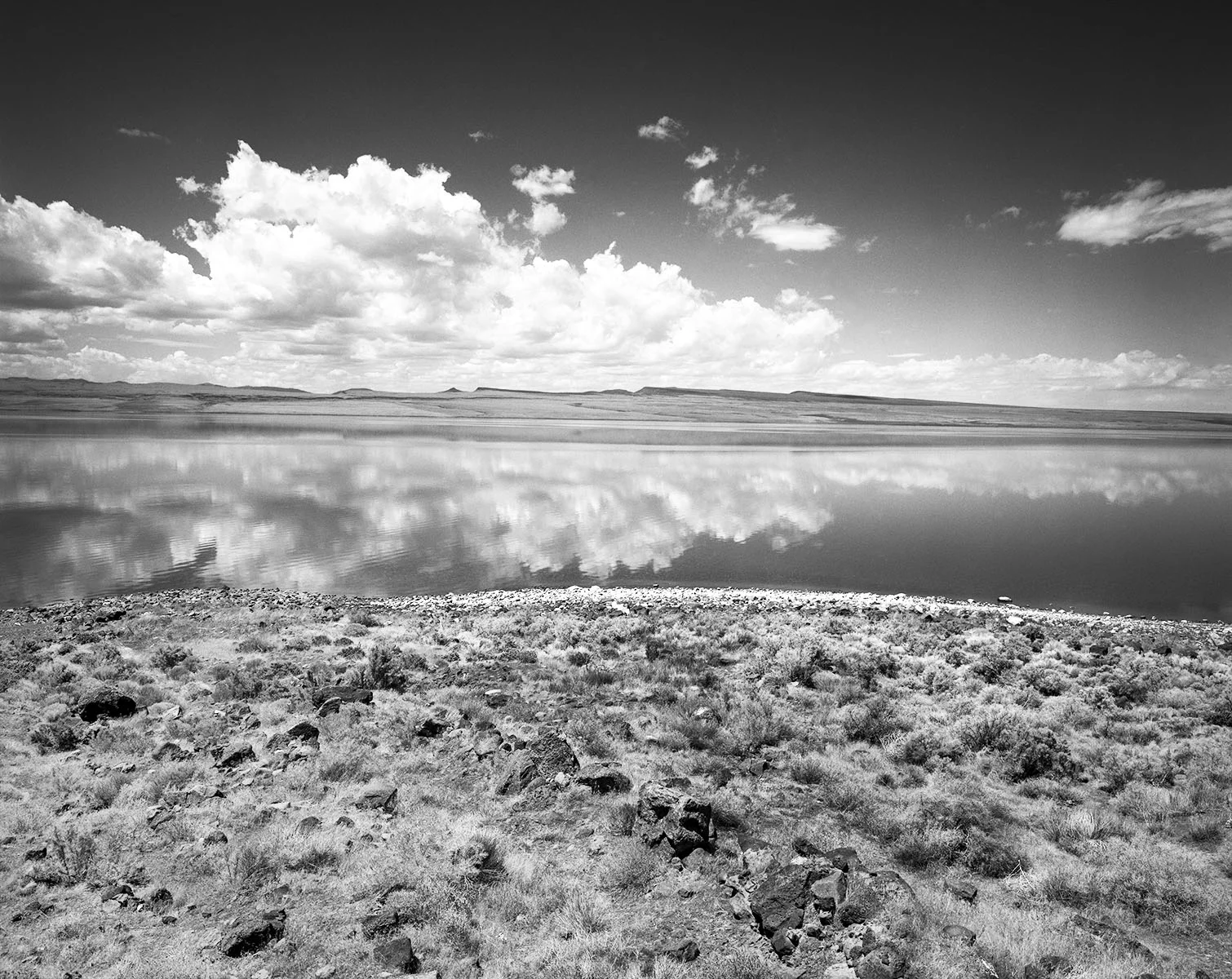 "Abert Lake, Eastern Oregon", 1988