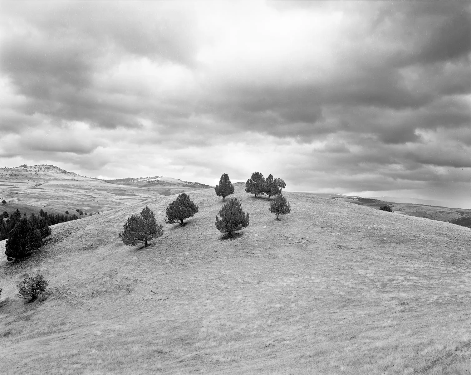 "Southern Oregon, Near Ashland", 1988