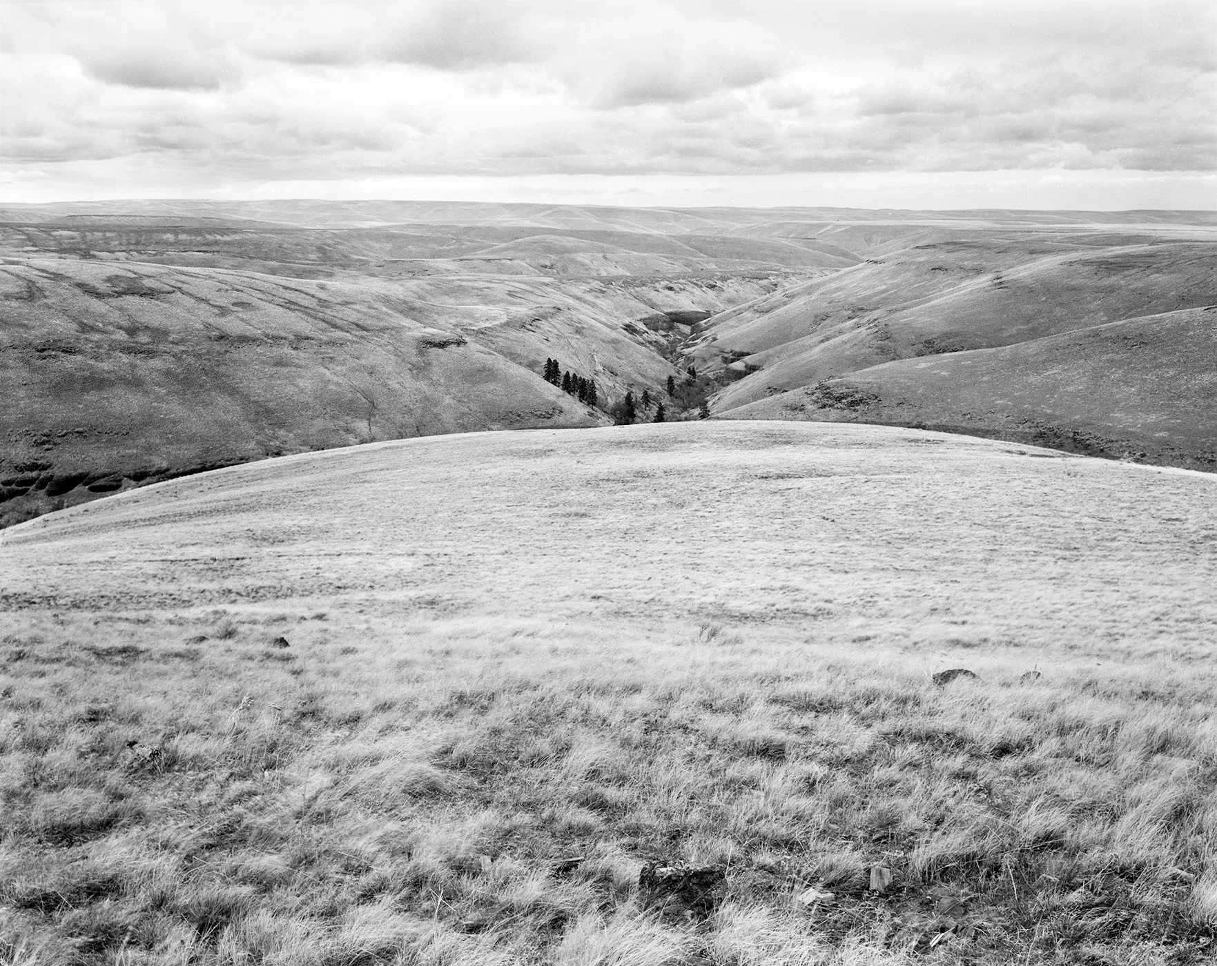 "Steens Mountain, Eastern Oregon", 1989