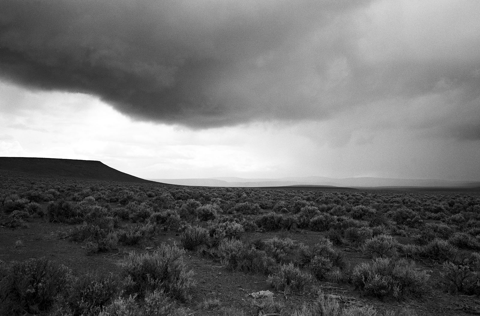 "Eastern Oregon", 1988