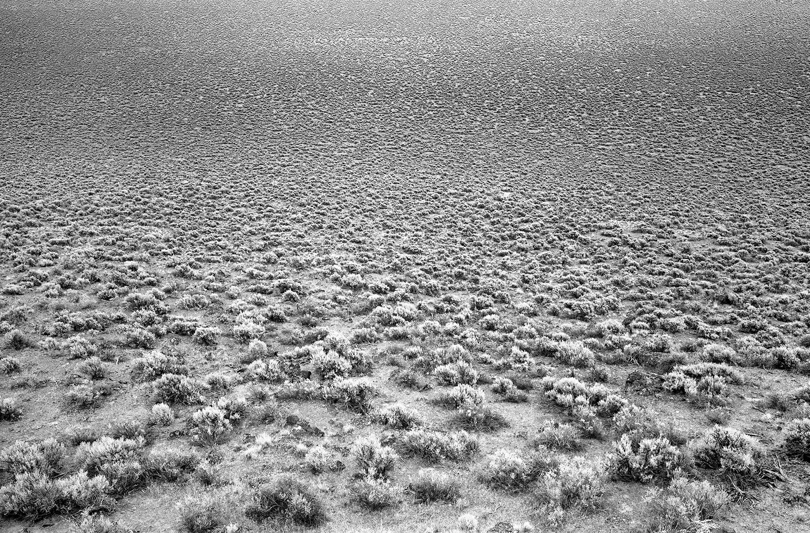 "Pueblo Mountains, Eastern Oregon", 1988