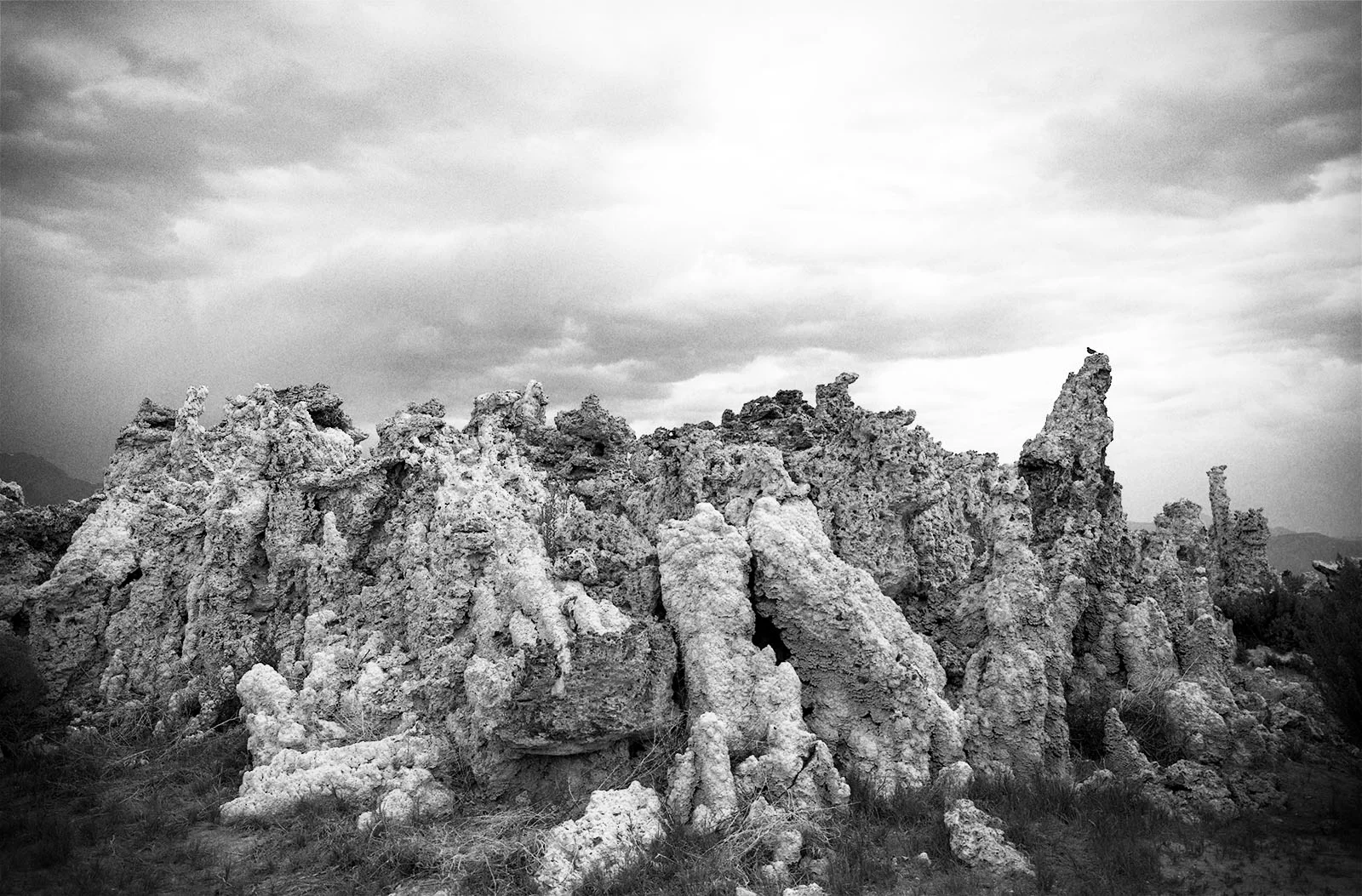 "Mono Lake, California", 1990