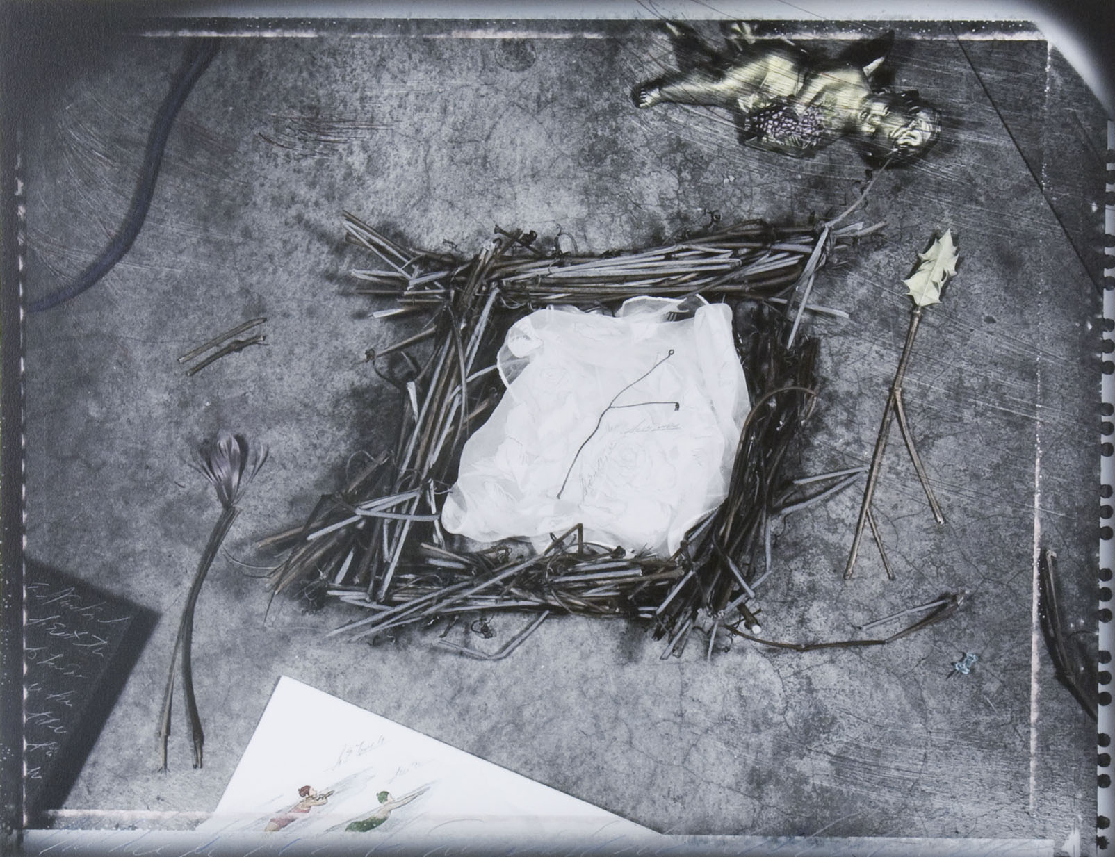 "Chart of Brief Forms #1/Nest", 1989
