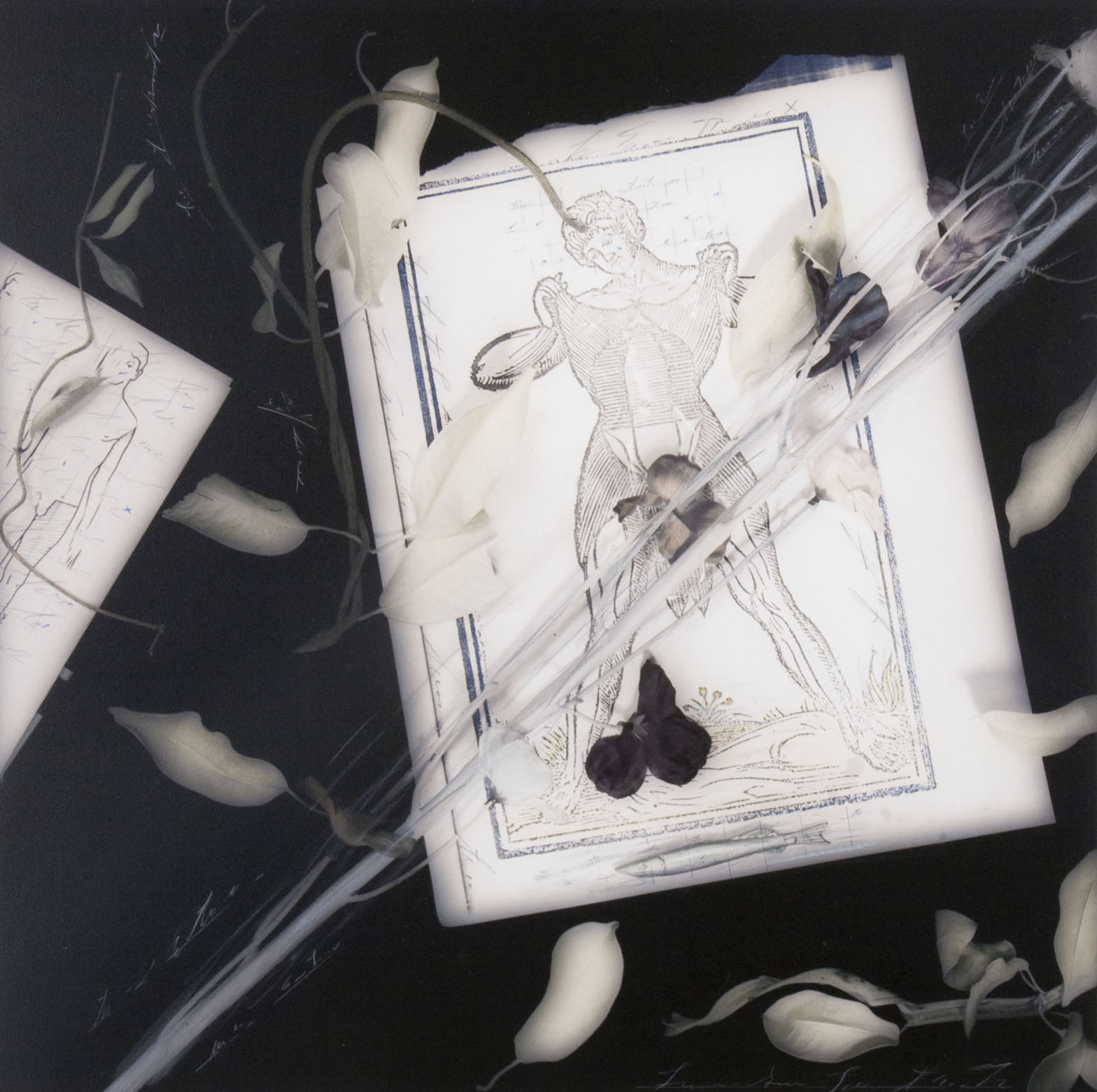 "Chart of Brief Forms #19", 1991