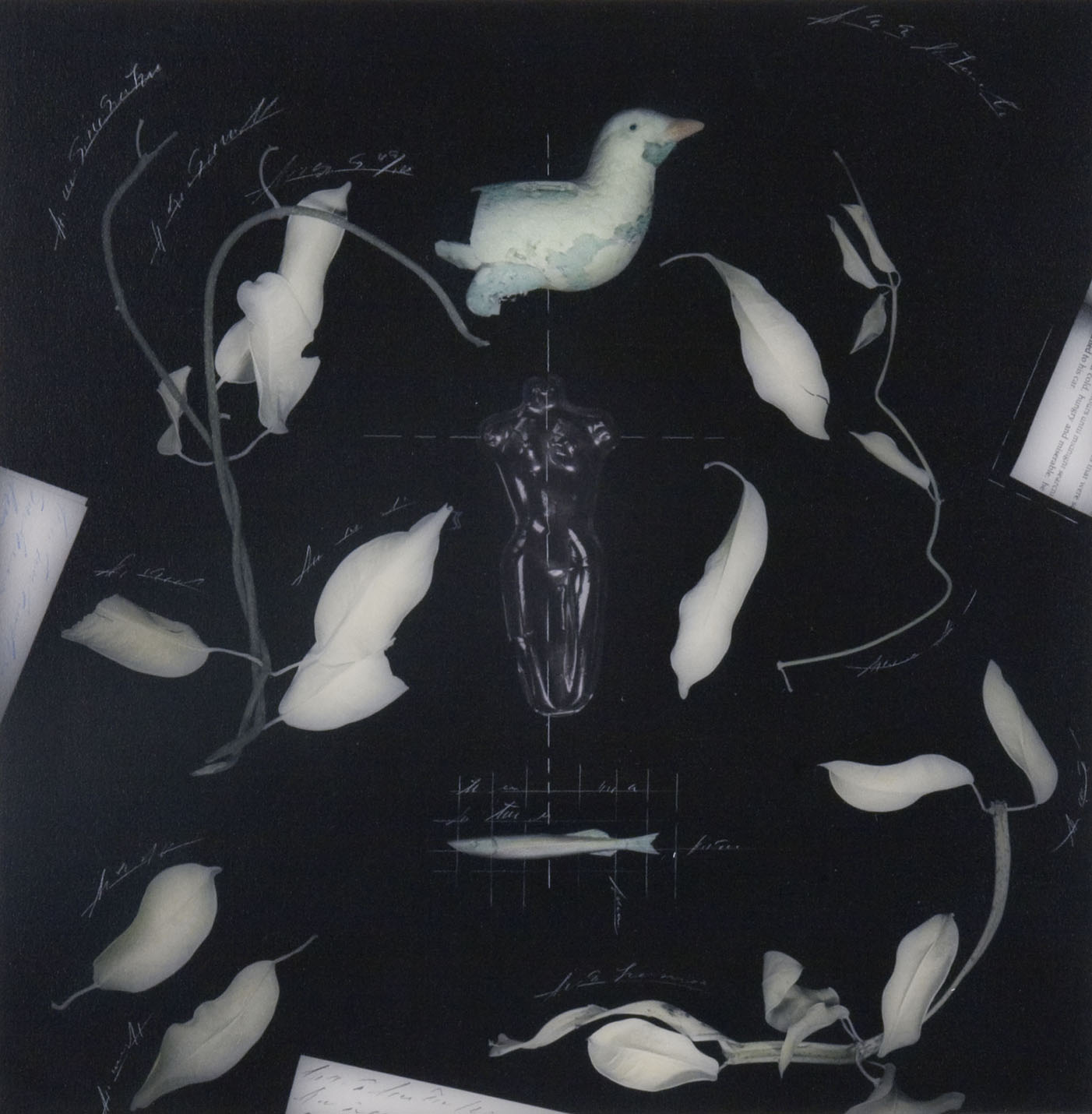 "Chart of Brief Forms #22", 1991