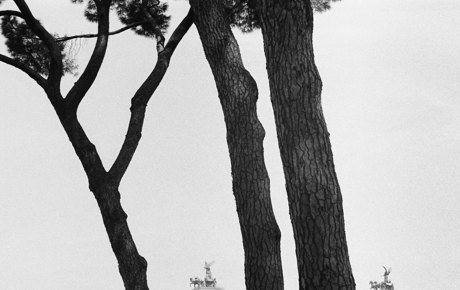 "Rome Italy", 1993