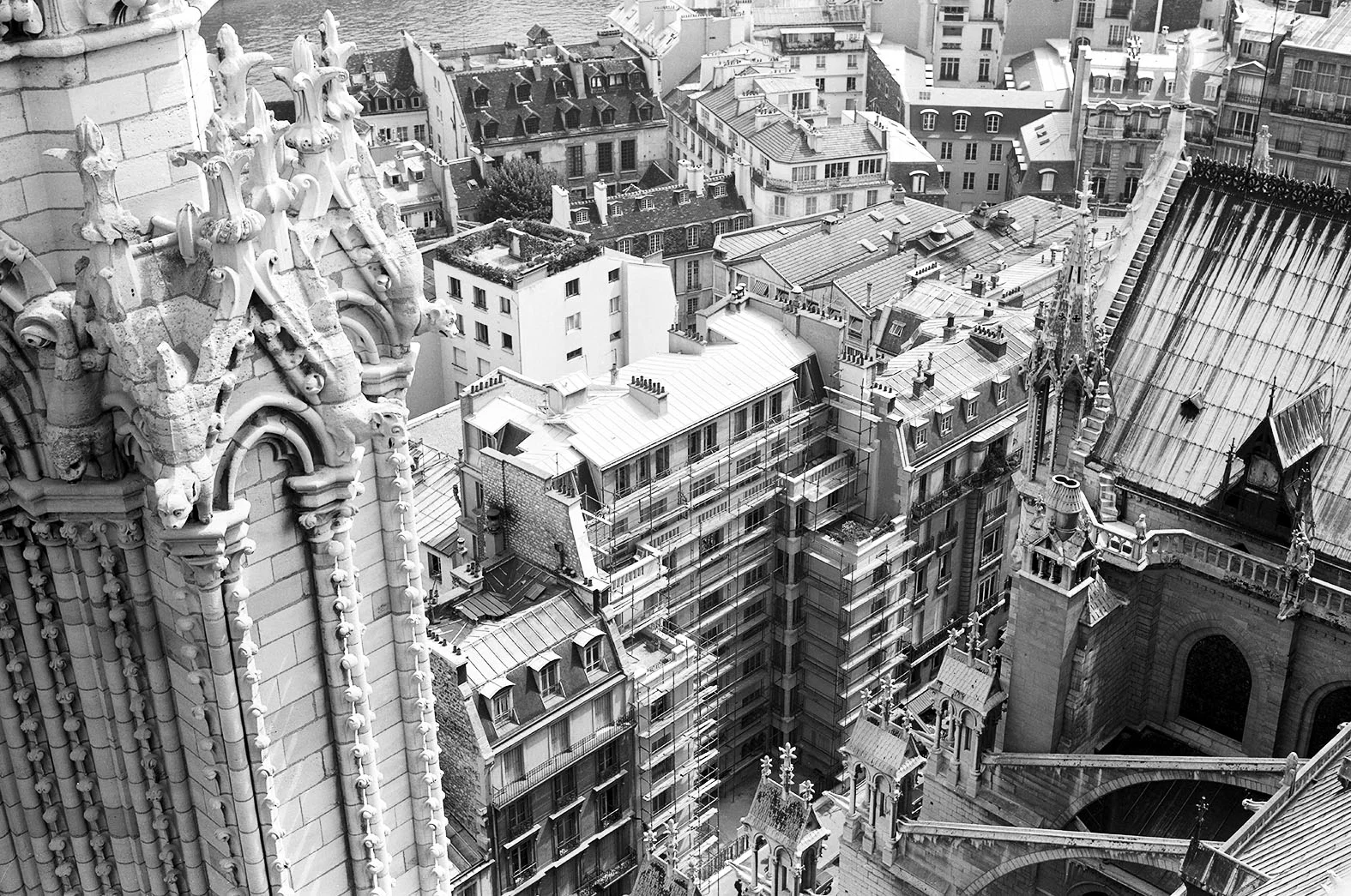 "Paris from Notre Dame", 1983