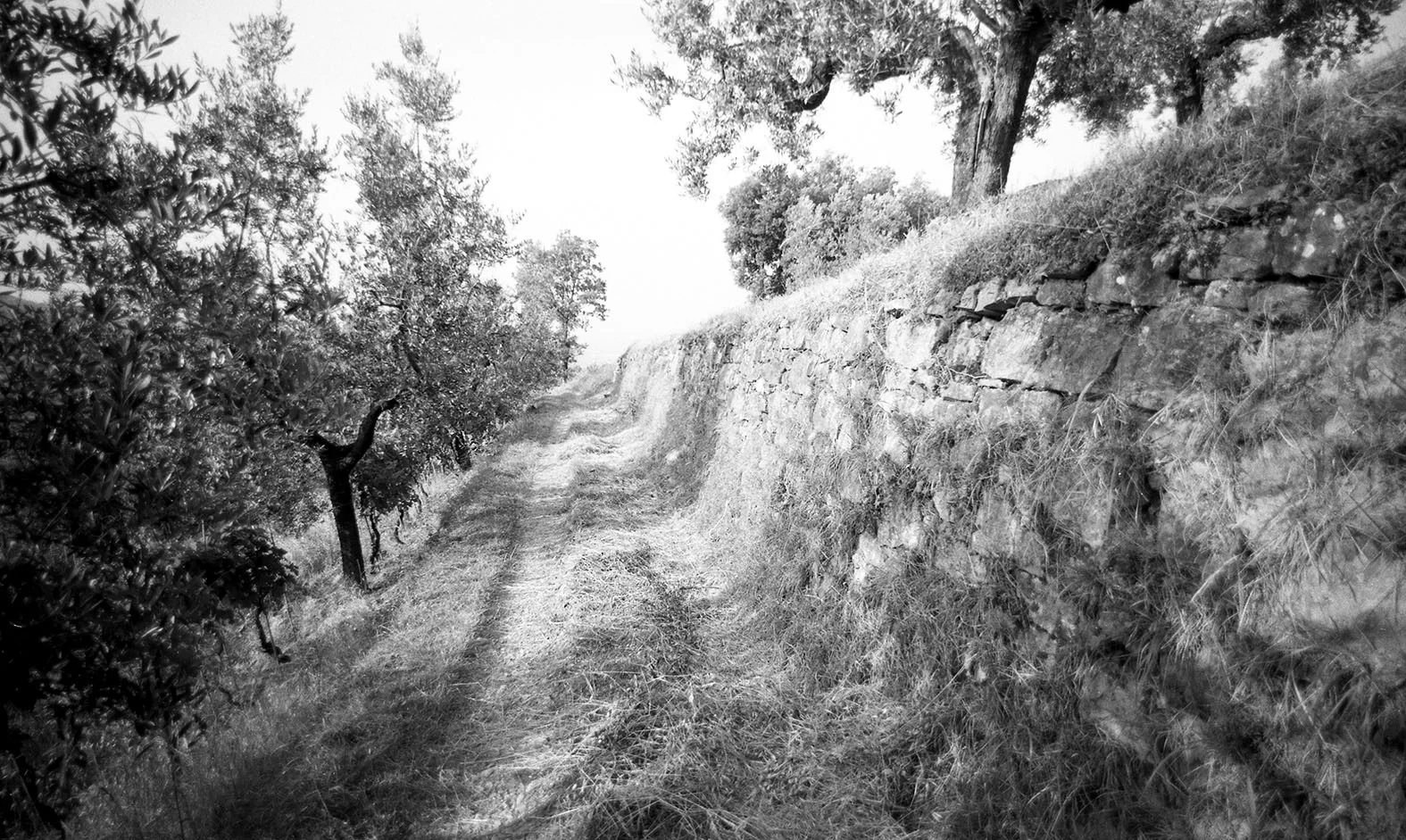 "Tuscany Italy", 1985