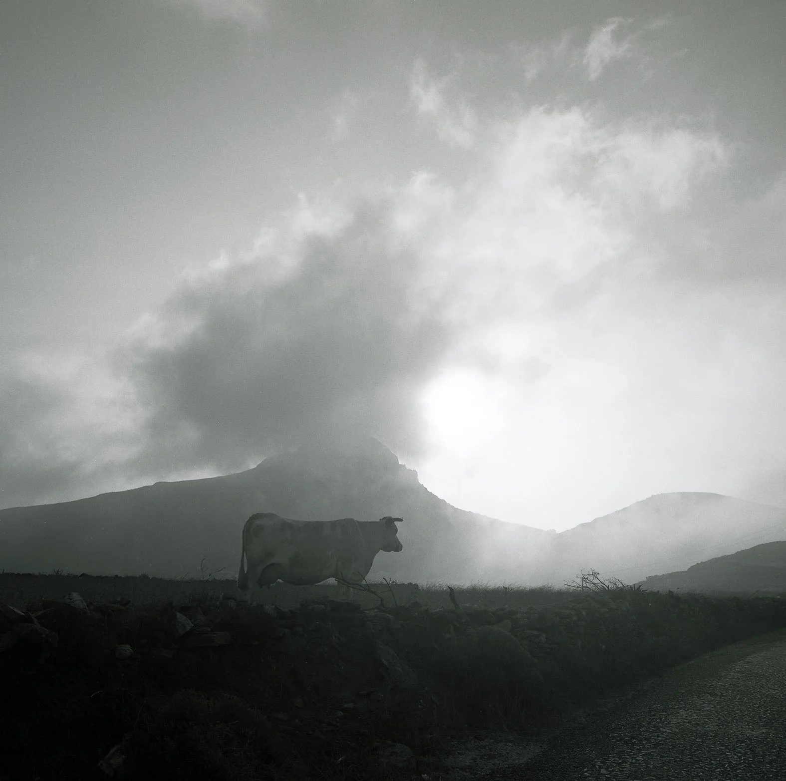 "Tinos, Greece", 2000