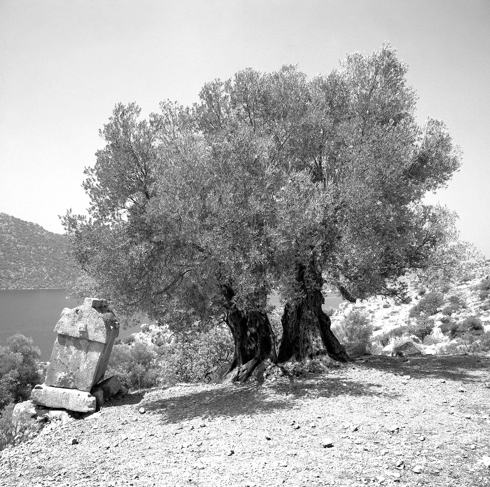 "Saddle Tomb, Kekova, Turkey", 2001