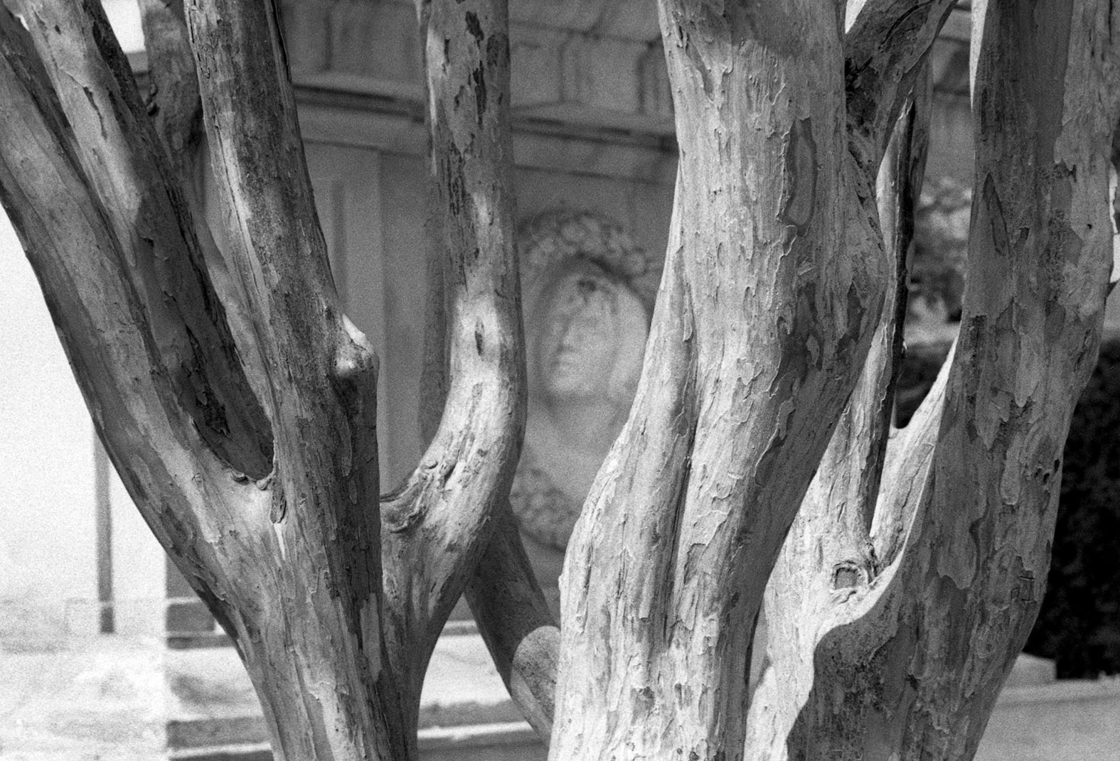"Barcelona, Spain", 1993