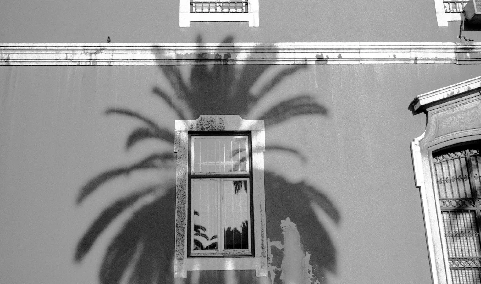 "Lisboa, Portugal", 1993