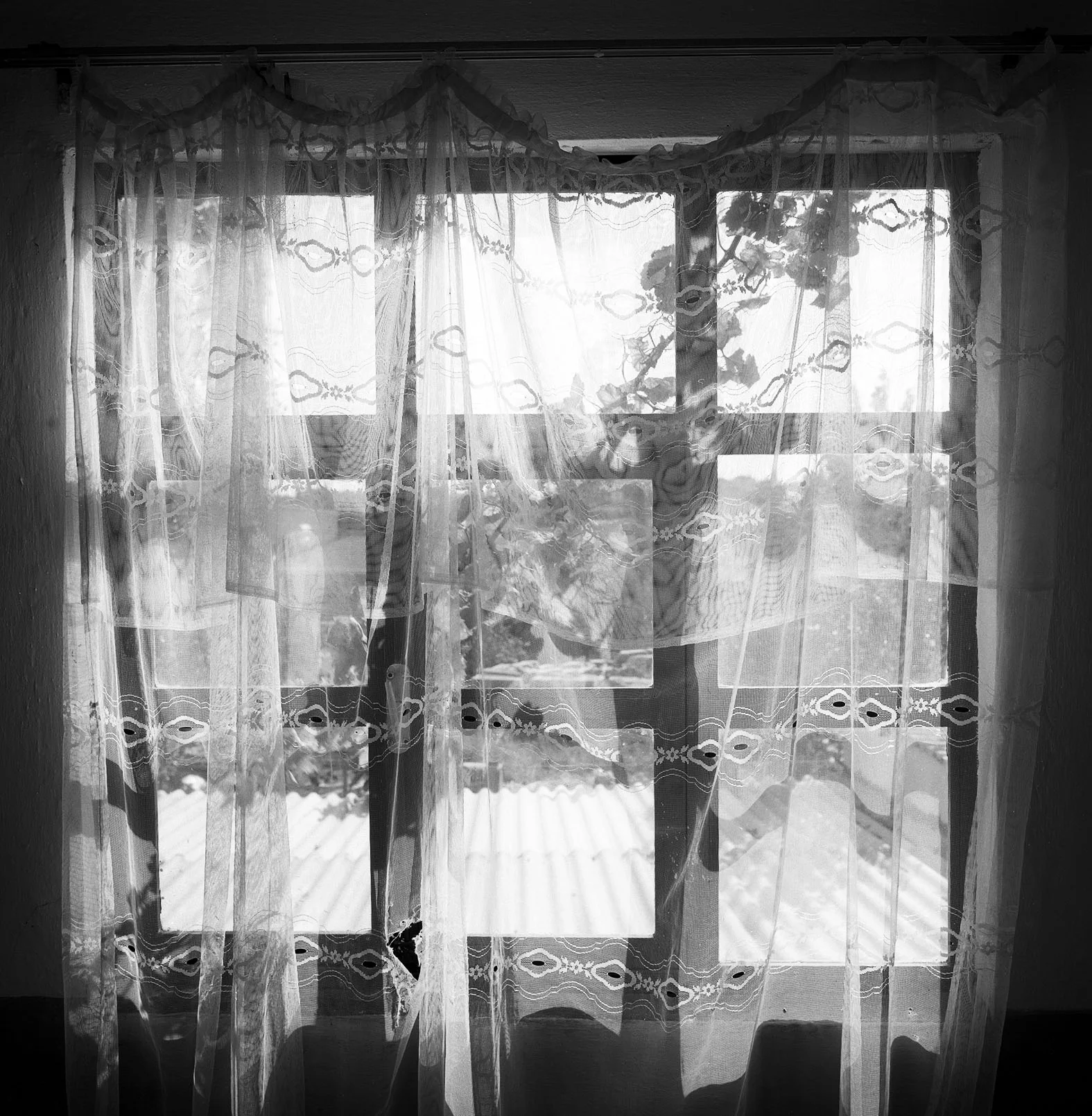 "Oracle at Didyma, Pensionne", 1996