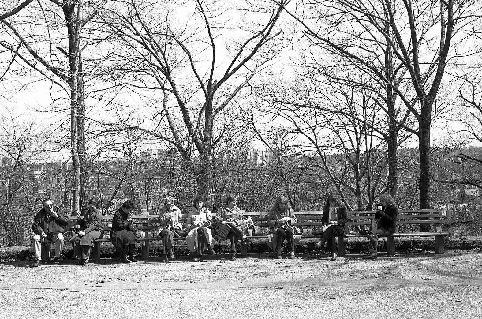 "Tryon Park, NY", 1983