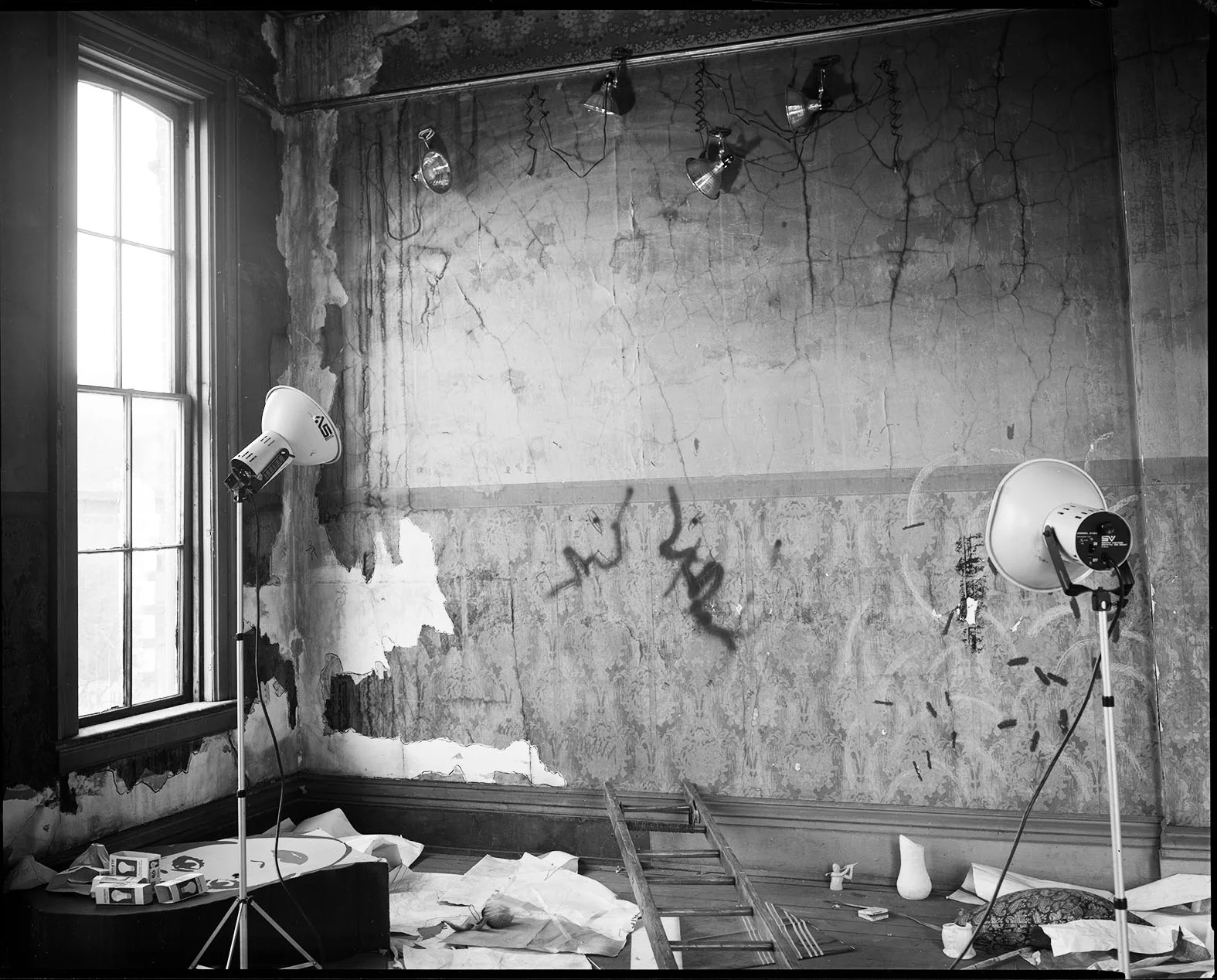 "Brooklyn, NY", 1983, 8x10 Contact Print