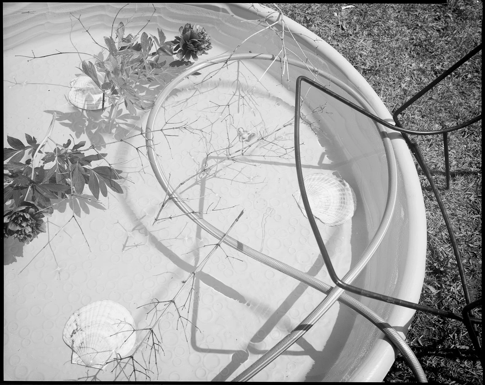 "Lulu's Pool, Ellensburg, Washington", 1986, 8x10 Contact Print
