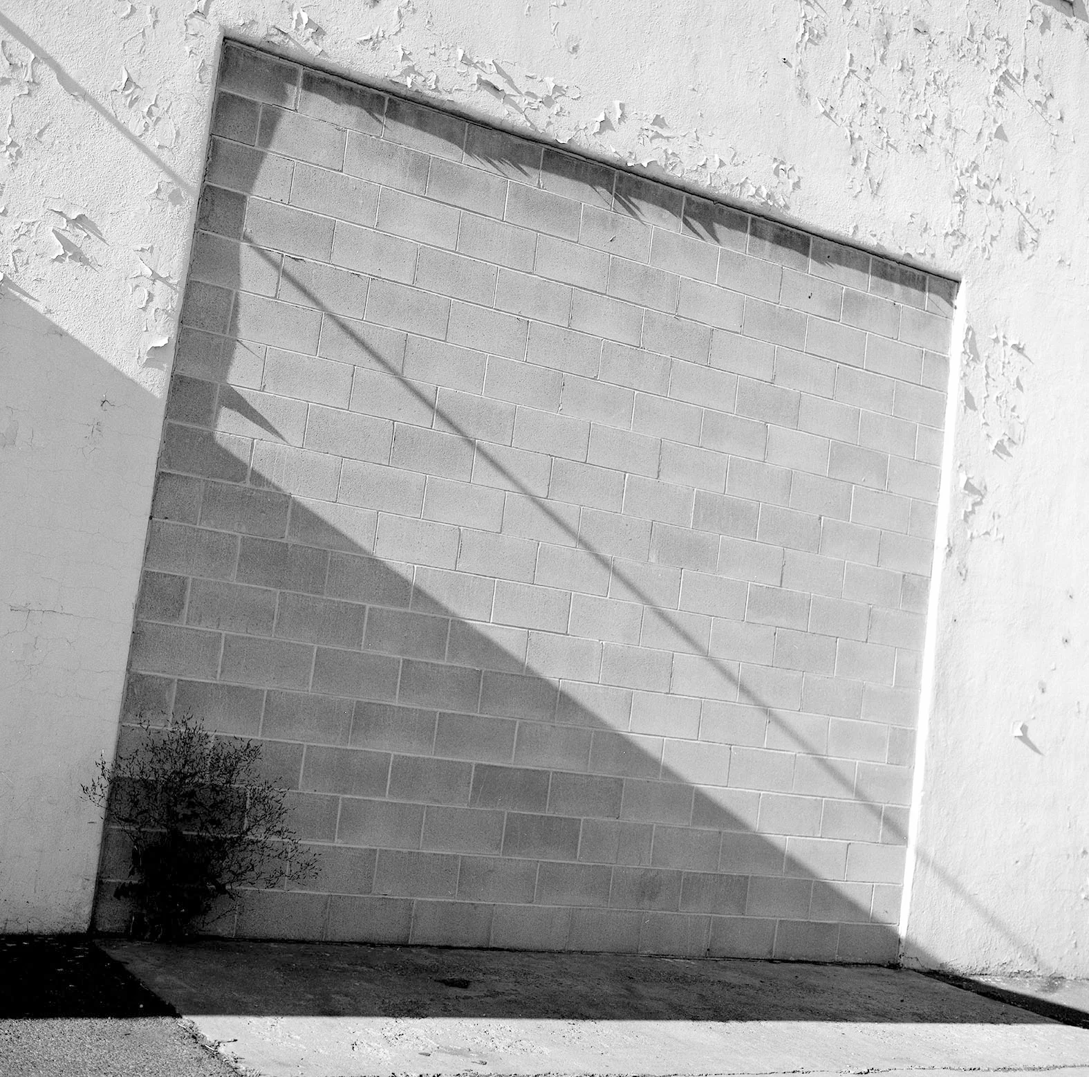 "Cedar Falls, Iowa", 1985