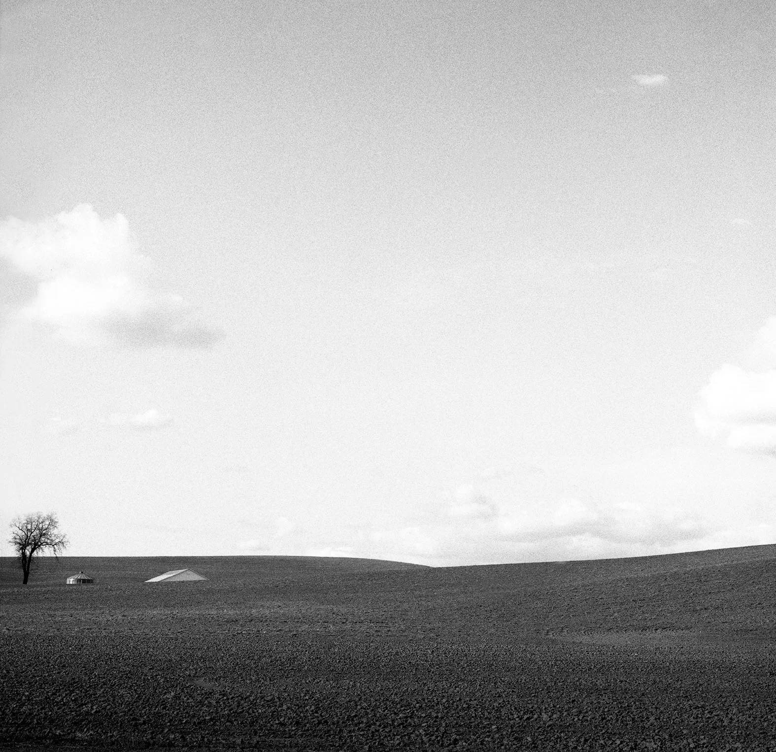 "Near Cedar Falls, Iowa", 1986