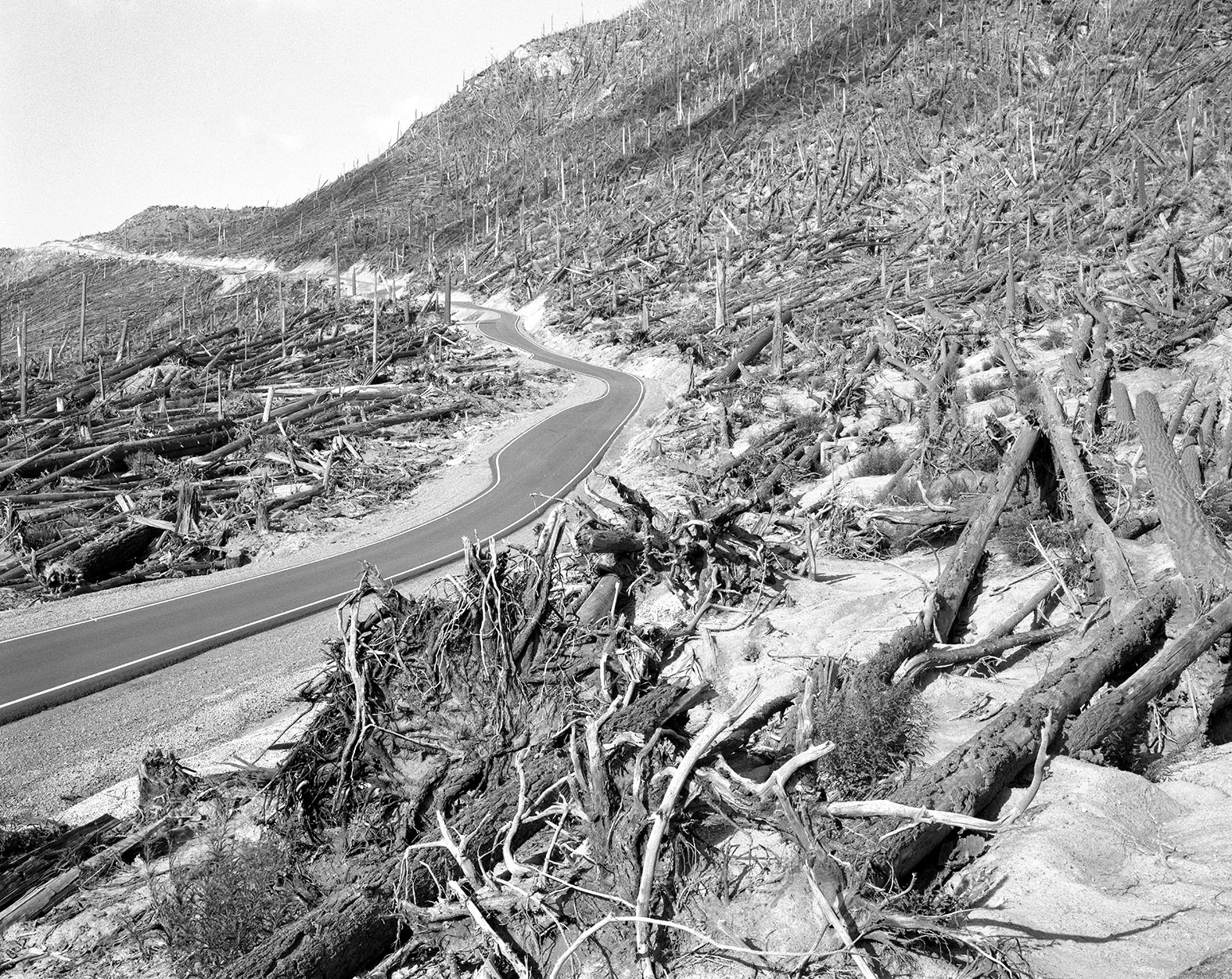 "Mount St. Helens Region", 1985