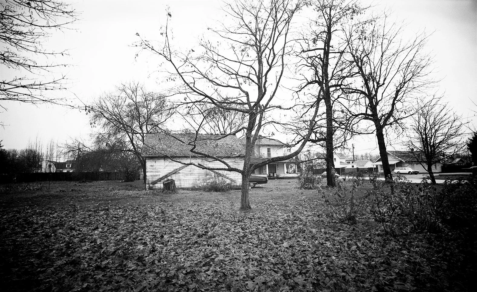 "Cedar Falls, Iowa", 1986