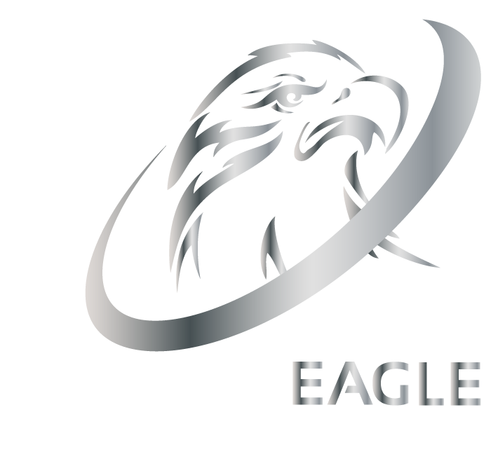 Platinum Eagle Aerospace Logo platinum-01 Chrome.png