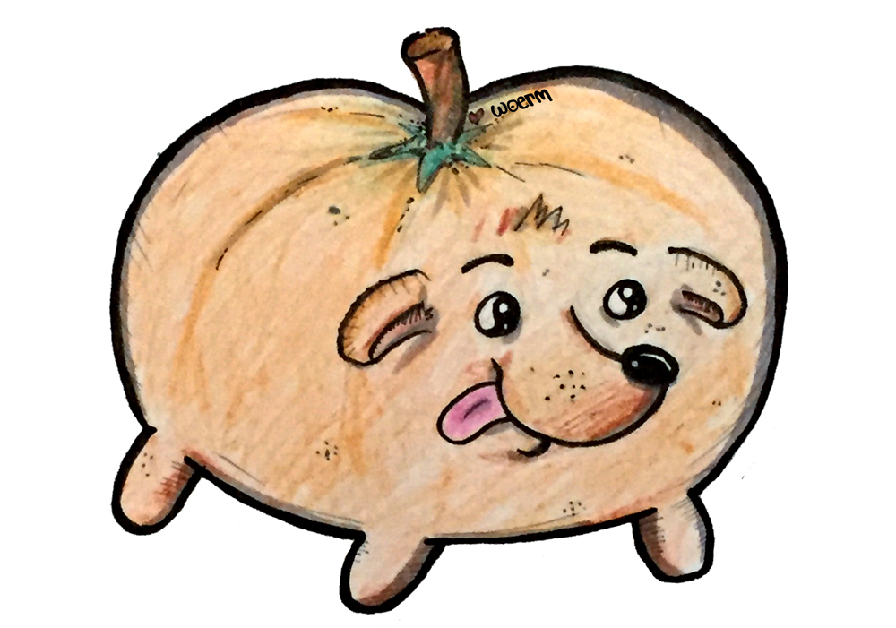 pumpkin-dog-illustration-by-woerm.jpg