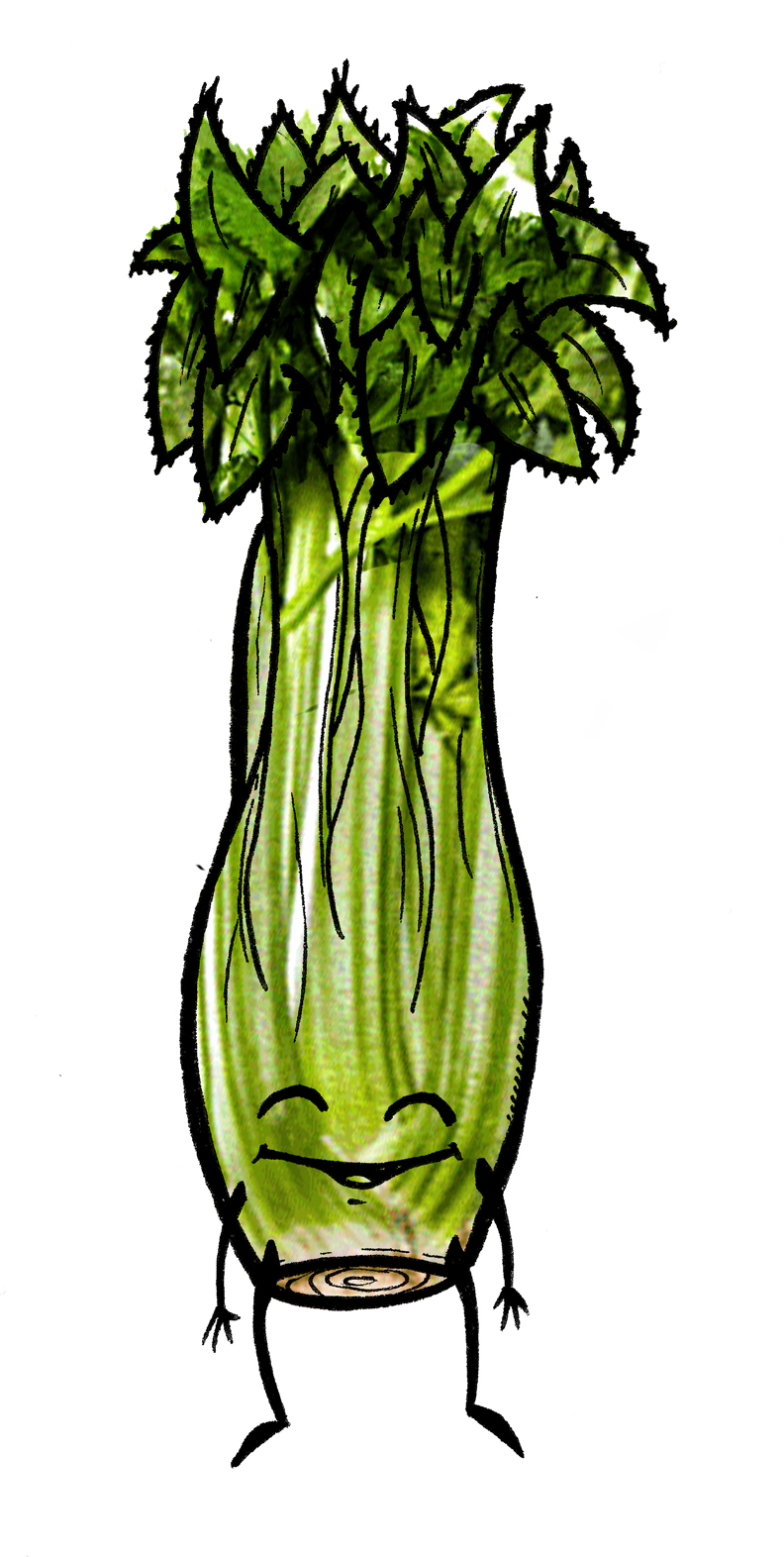 celery-1-by-woerm.jpg