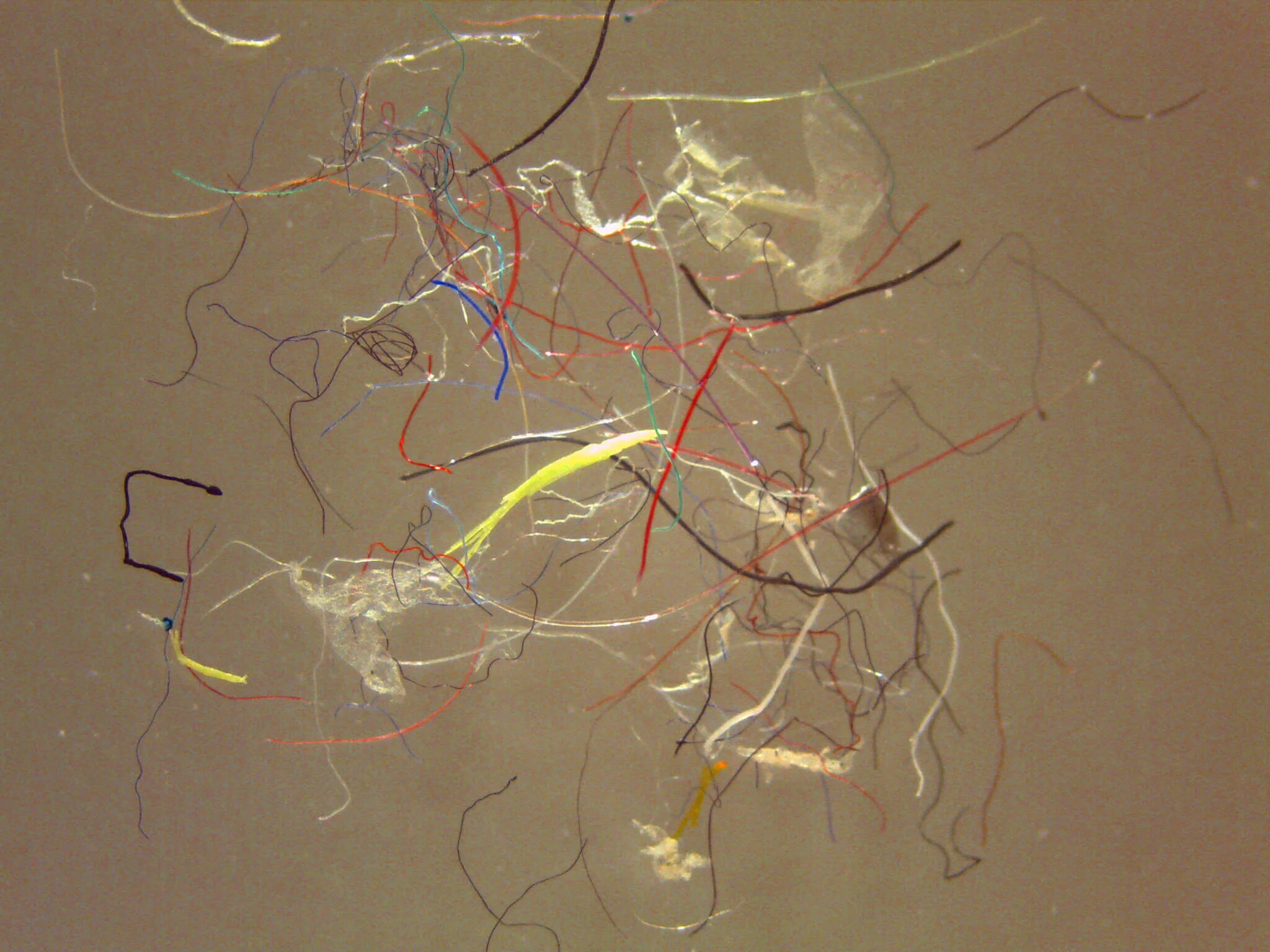 microfibers.jpg