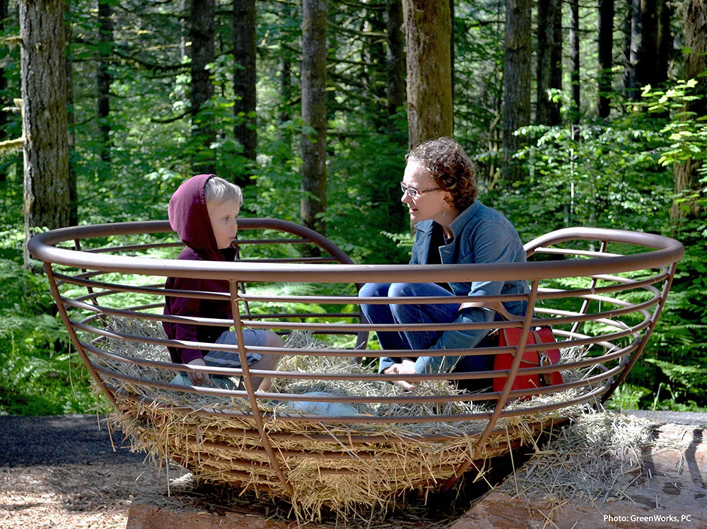 SilverFalls_Nest_web.jpg