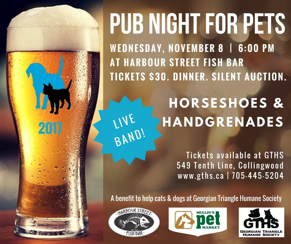 Pub Night_FB post.jpg