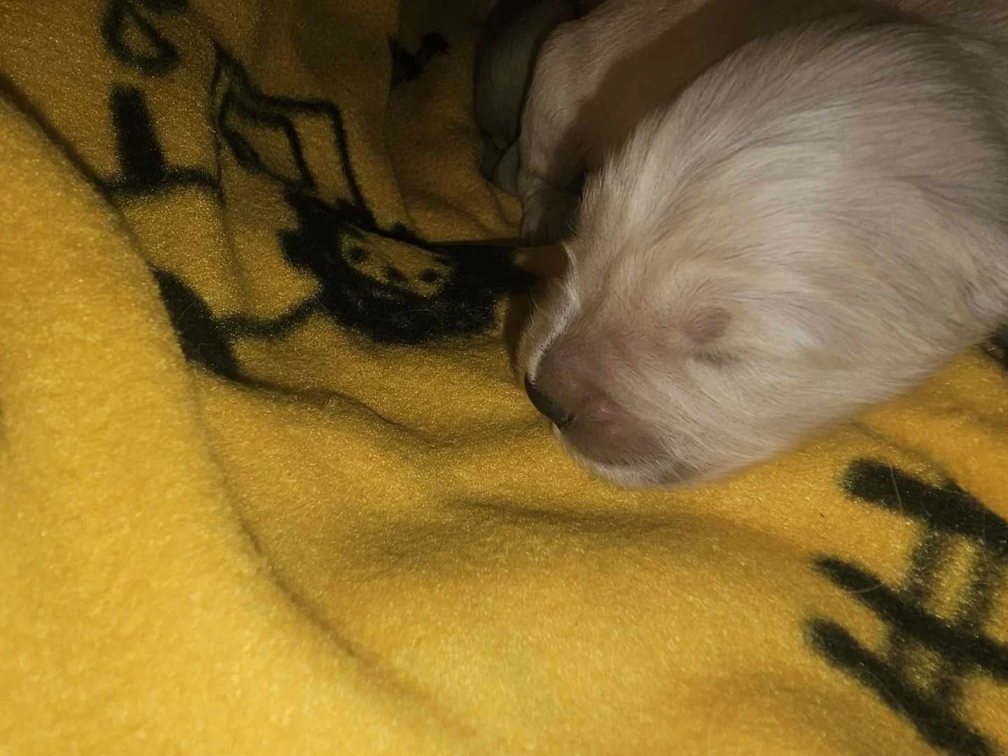 kiaracharliespring2026 11.jpg