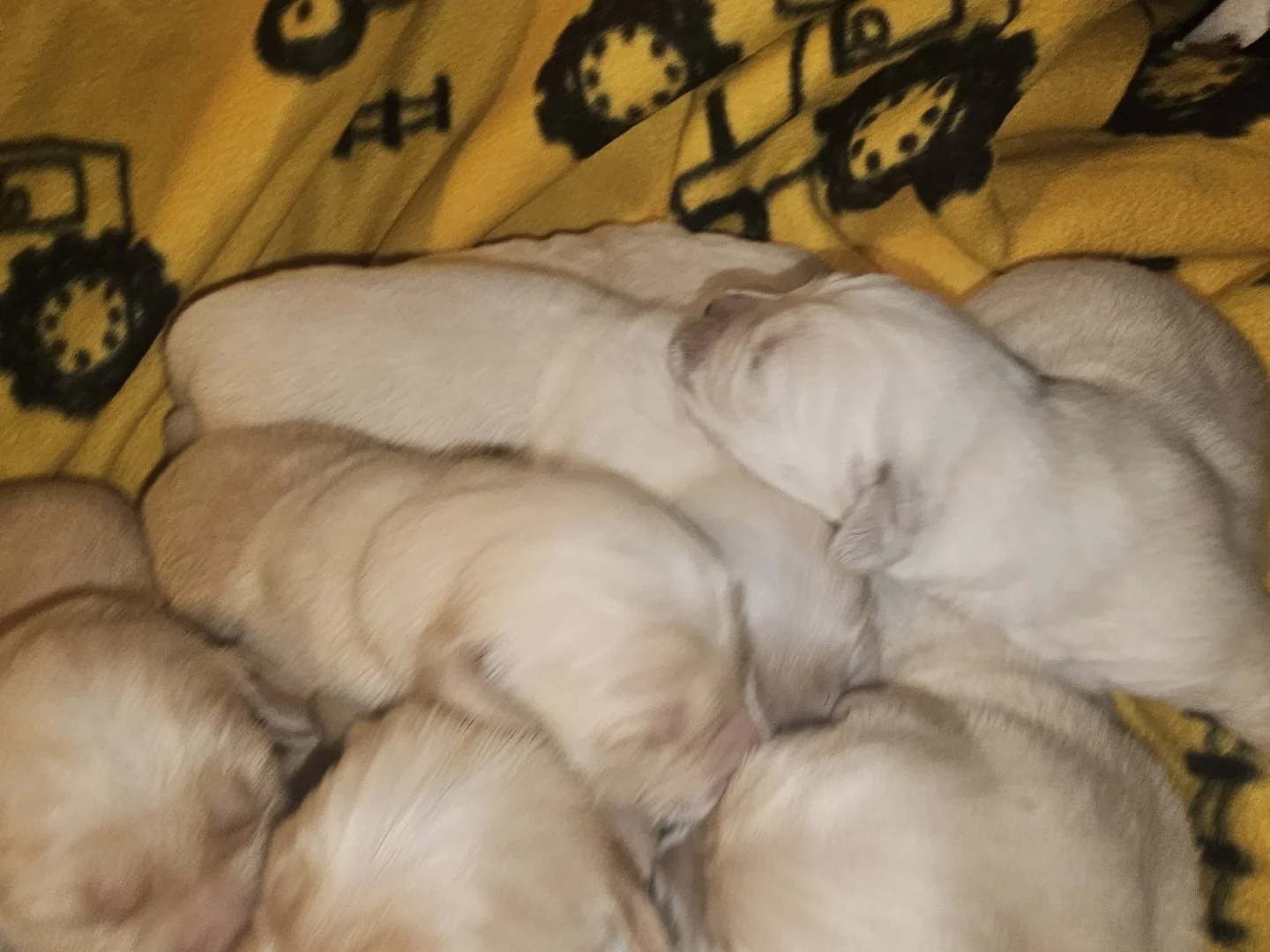 kiaracharliespring2026 12.jpg