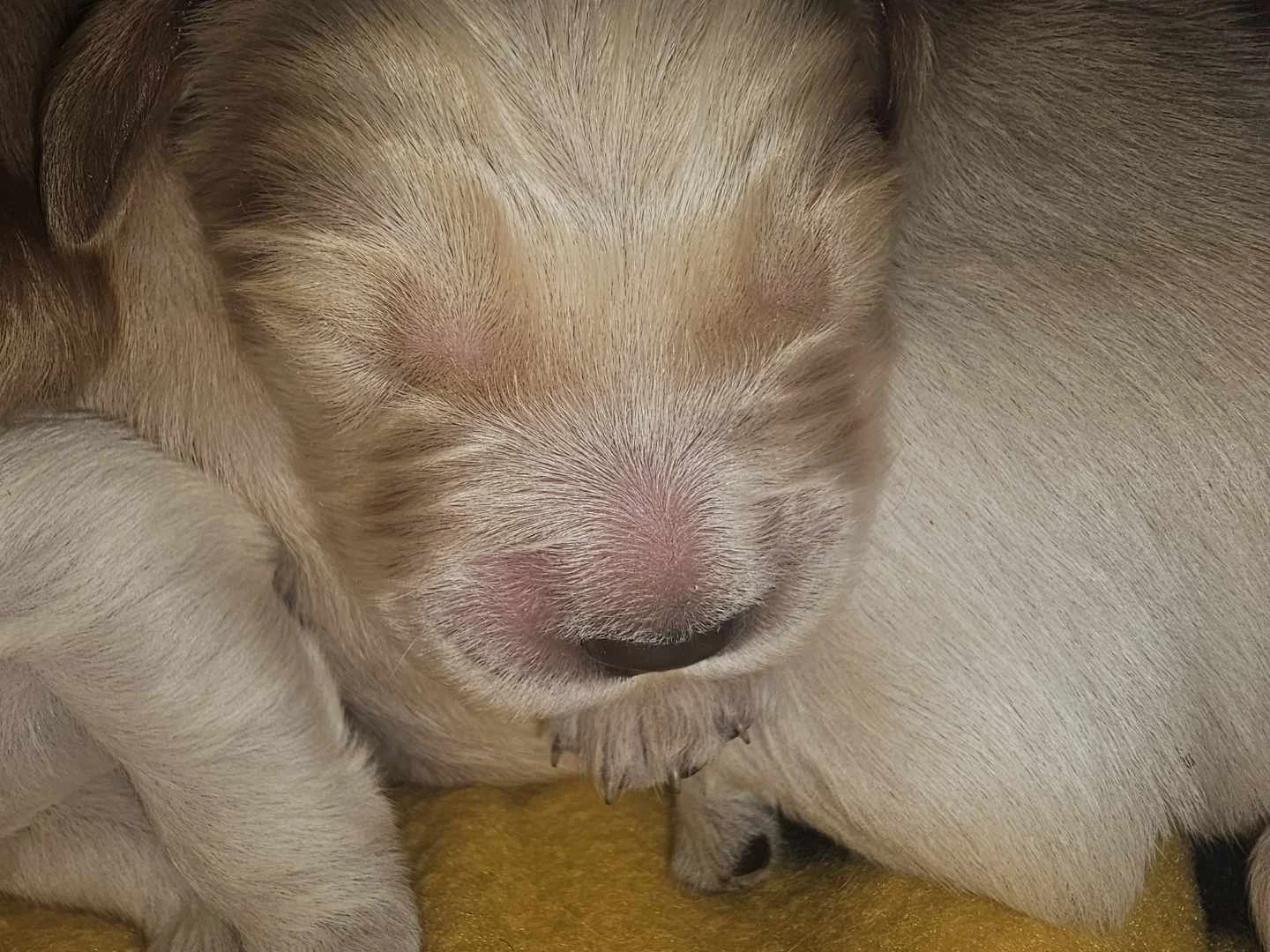 kiaracharliespring2026 14.jpg