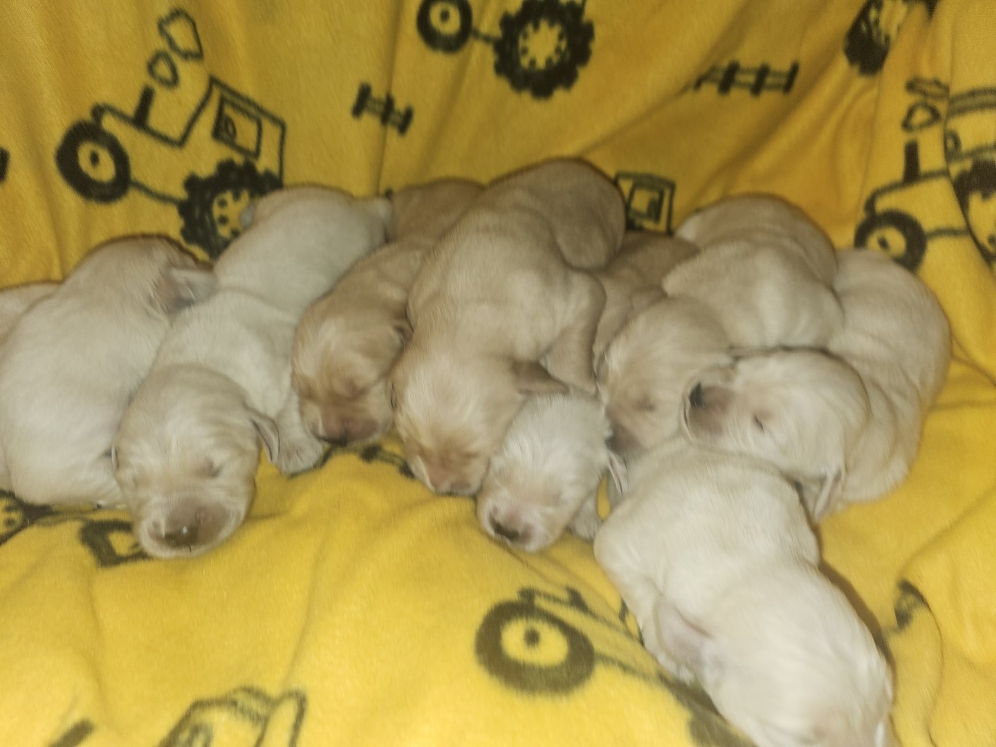 kiaracharliespring2026 15.jpg