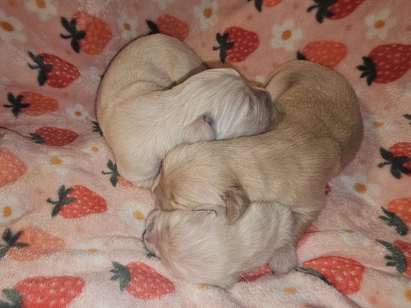 kiaracharliespring2026 18.jpg