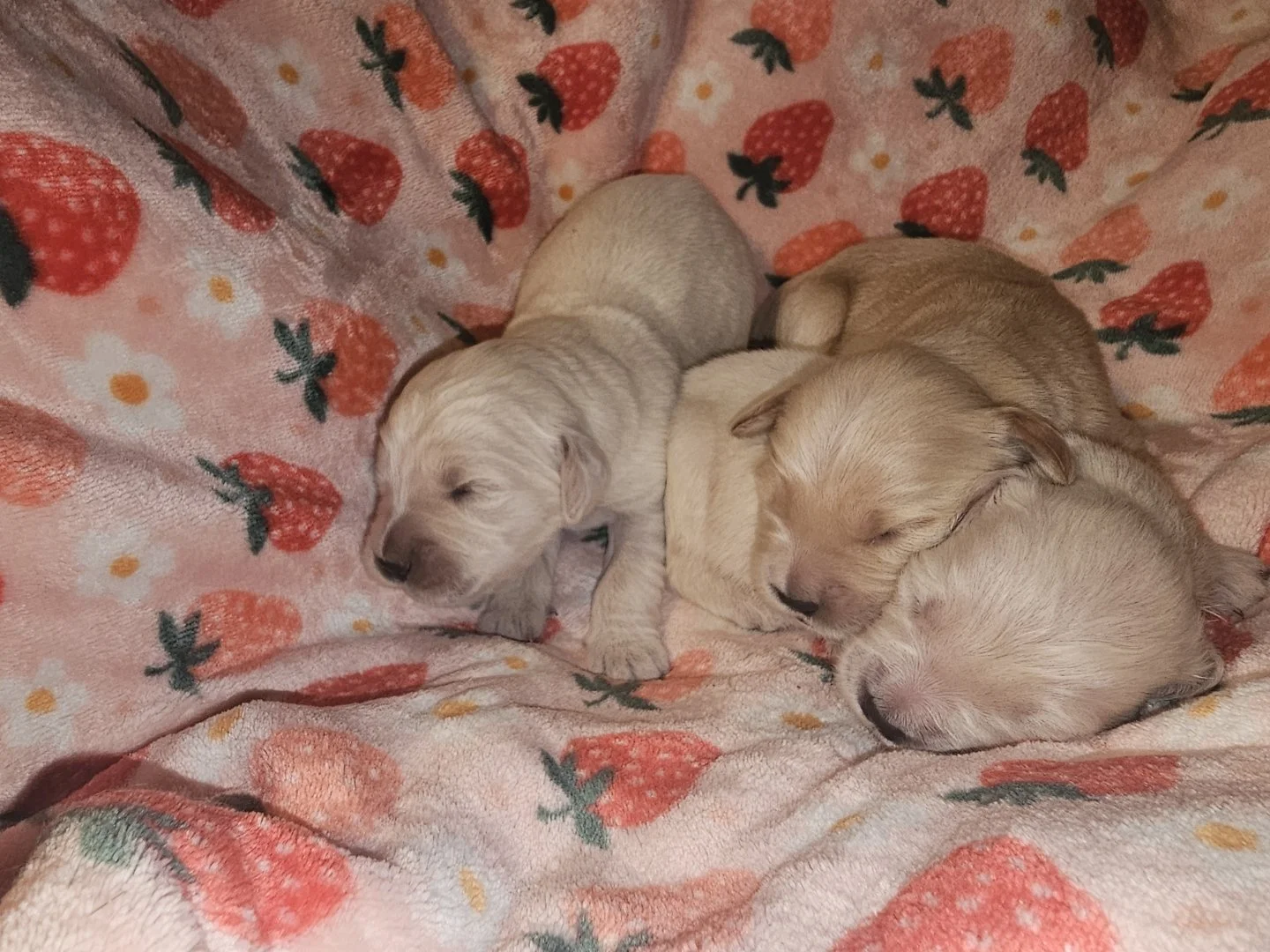 kiaracharliespring2026 19.jpg