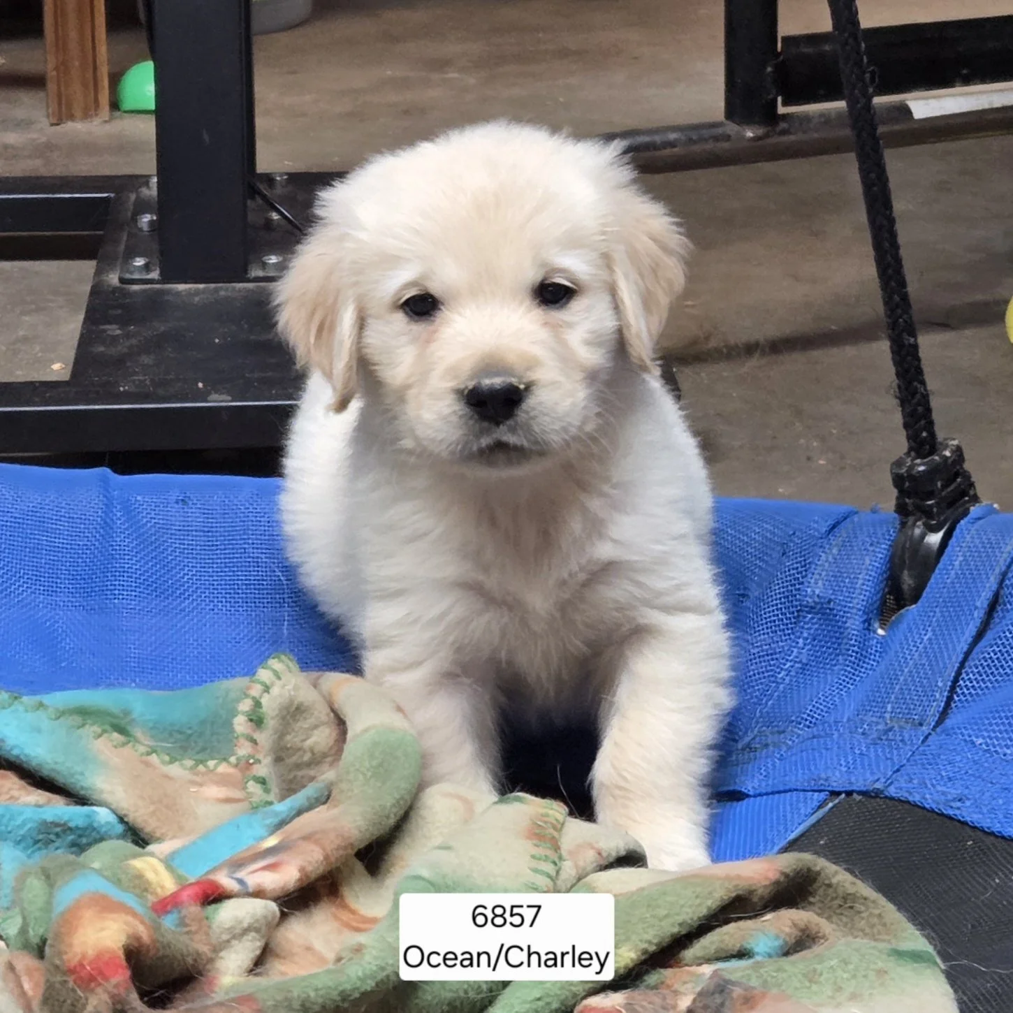 Oc boy 6857.jpg