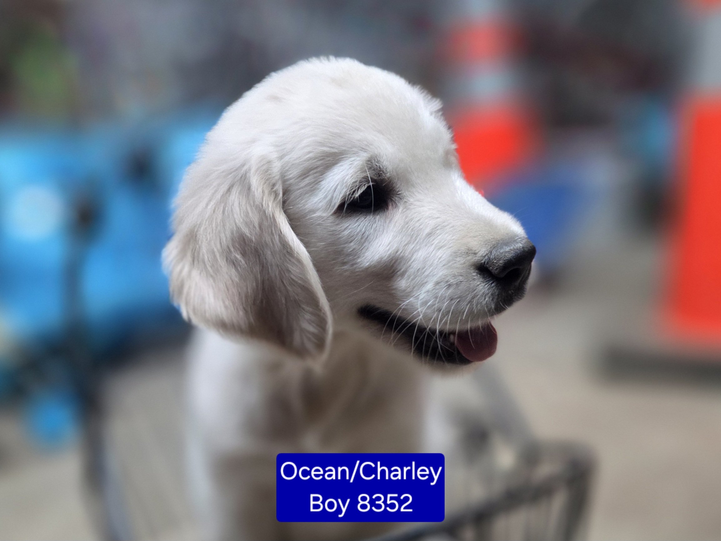 boy 8352.jpg