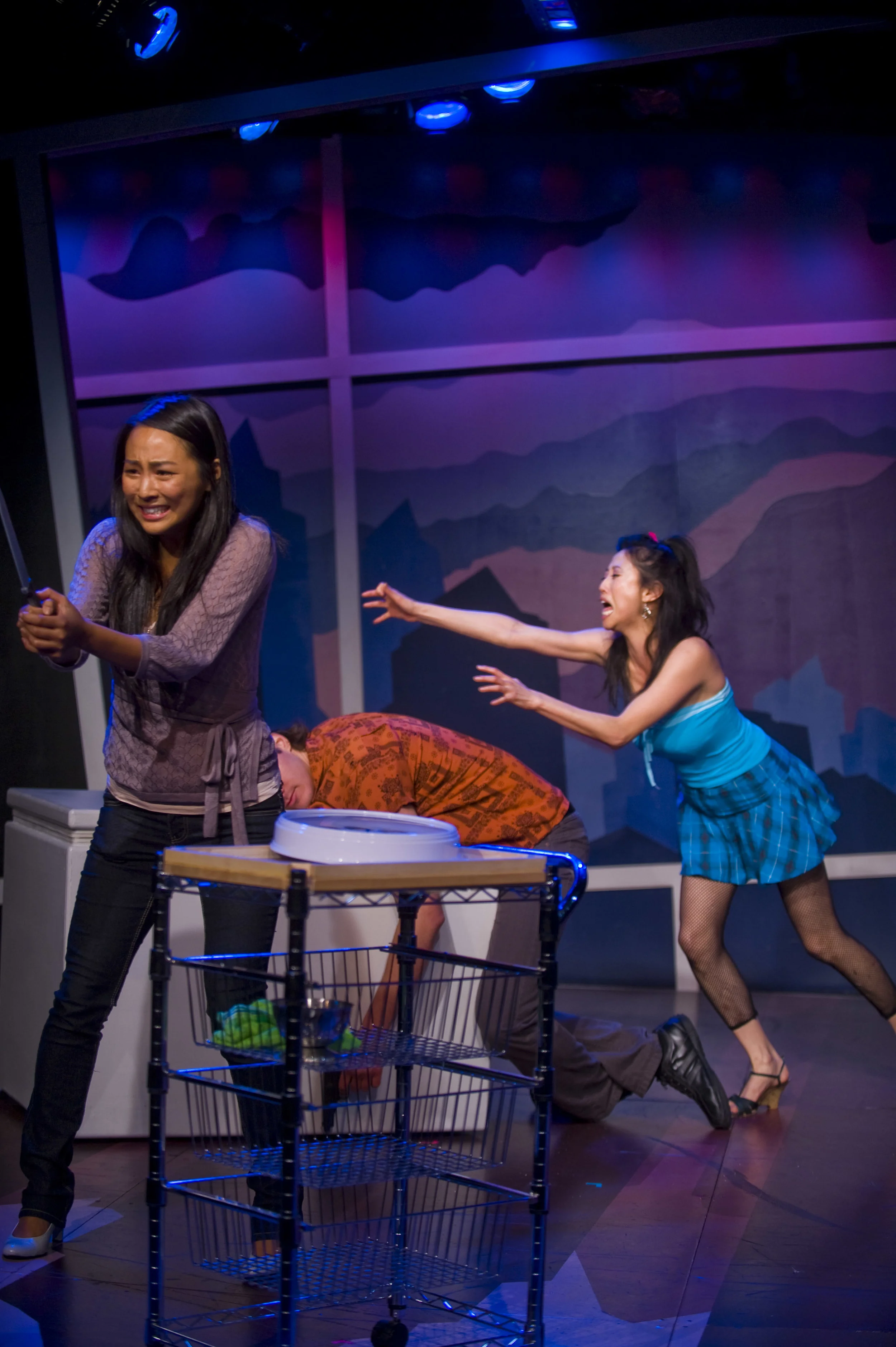 2008 Barrington Stage Company workshop-production, dir. Andrew Volkoff. Starring Terence Archie, Heath Calvert, Nathaniel P. Claridad, Deborah S. Craig, Greta Lee, and JP Moraga. 