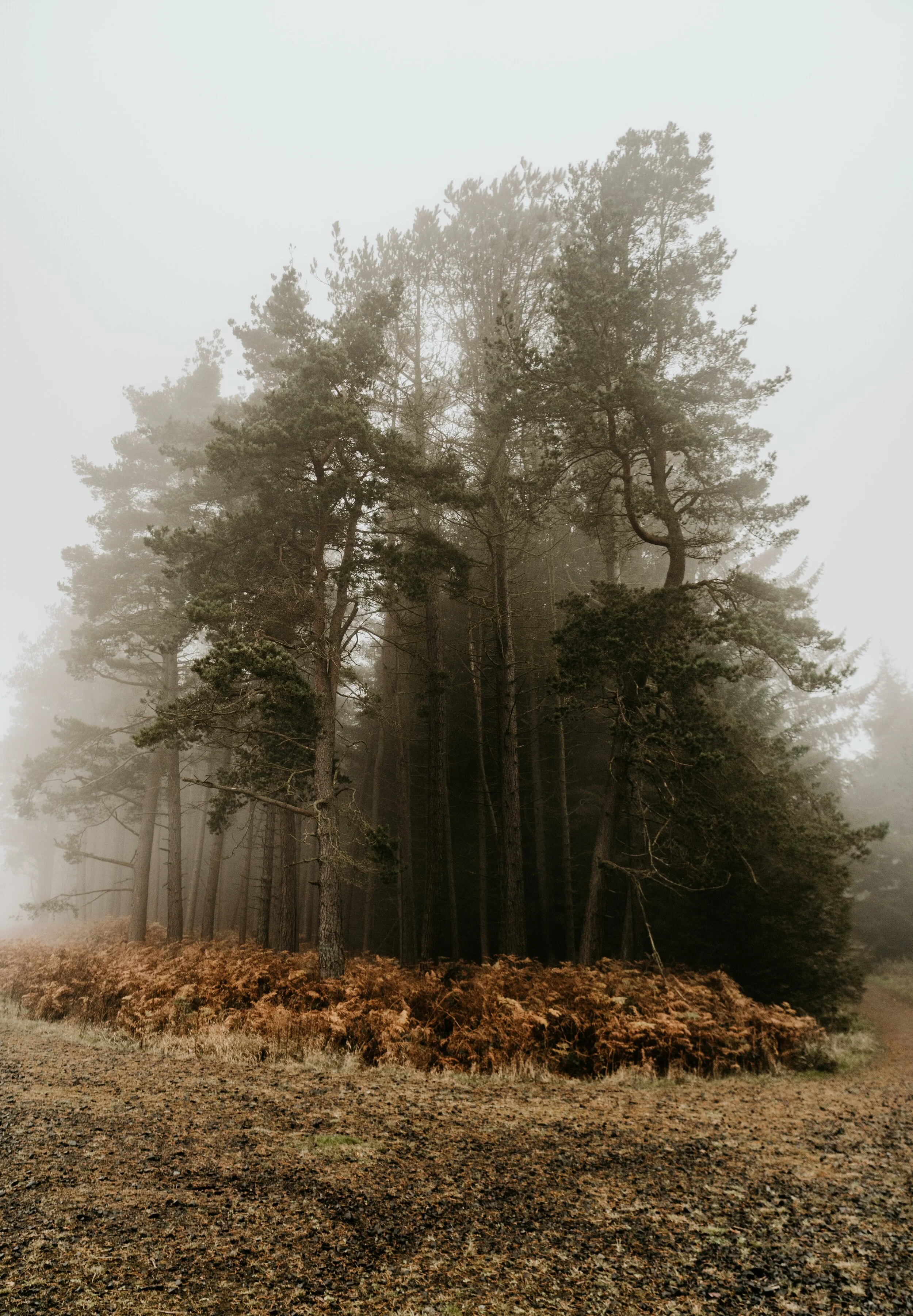 toa-heftiba-2y5X3oYopvc-unsplash.jpg