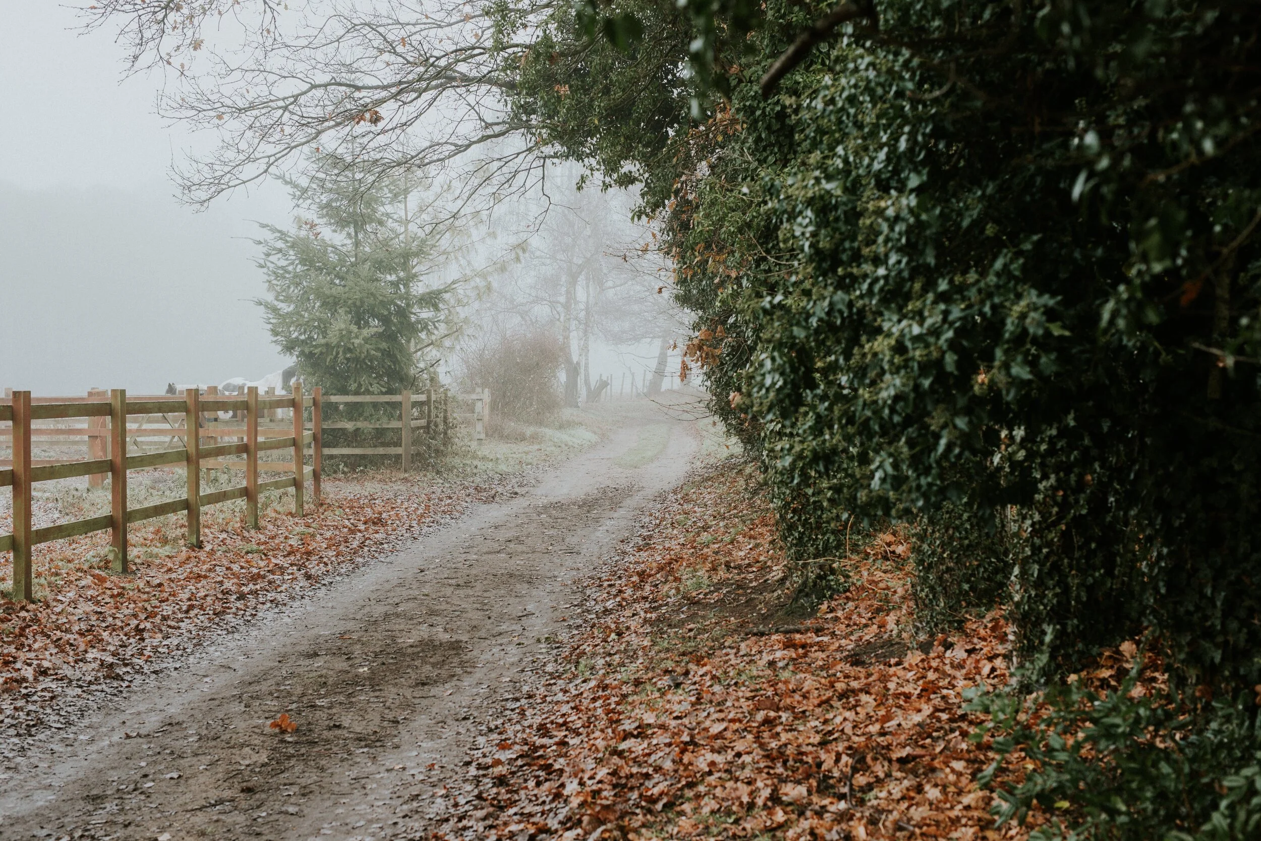 How Do I Know If My Gut's Even Right?