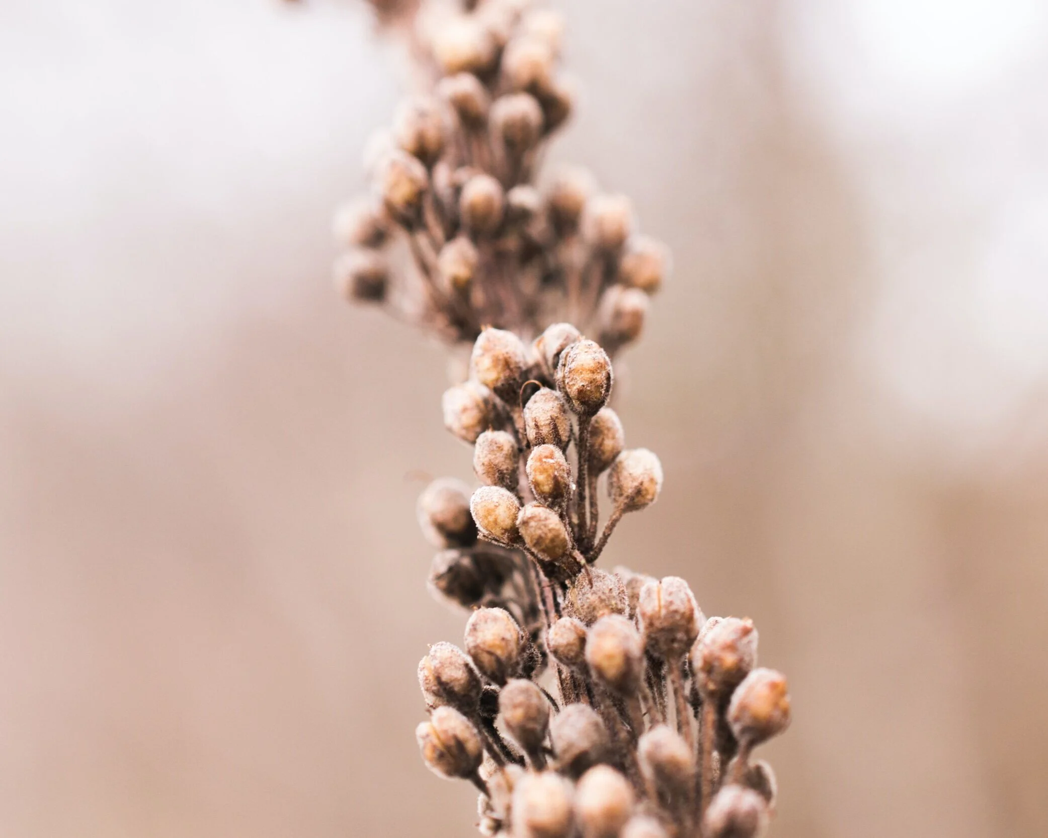 Getting No Message From Someone You Like Is Message Enough &amp; Here's Why