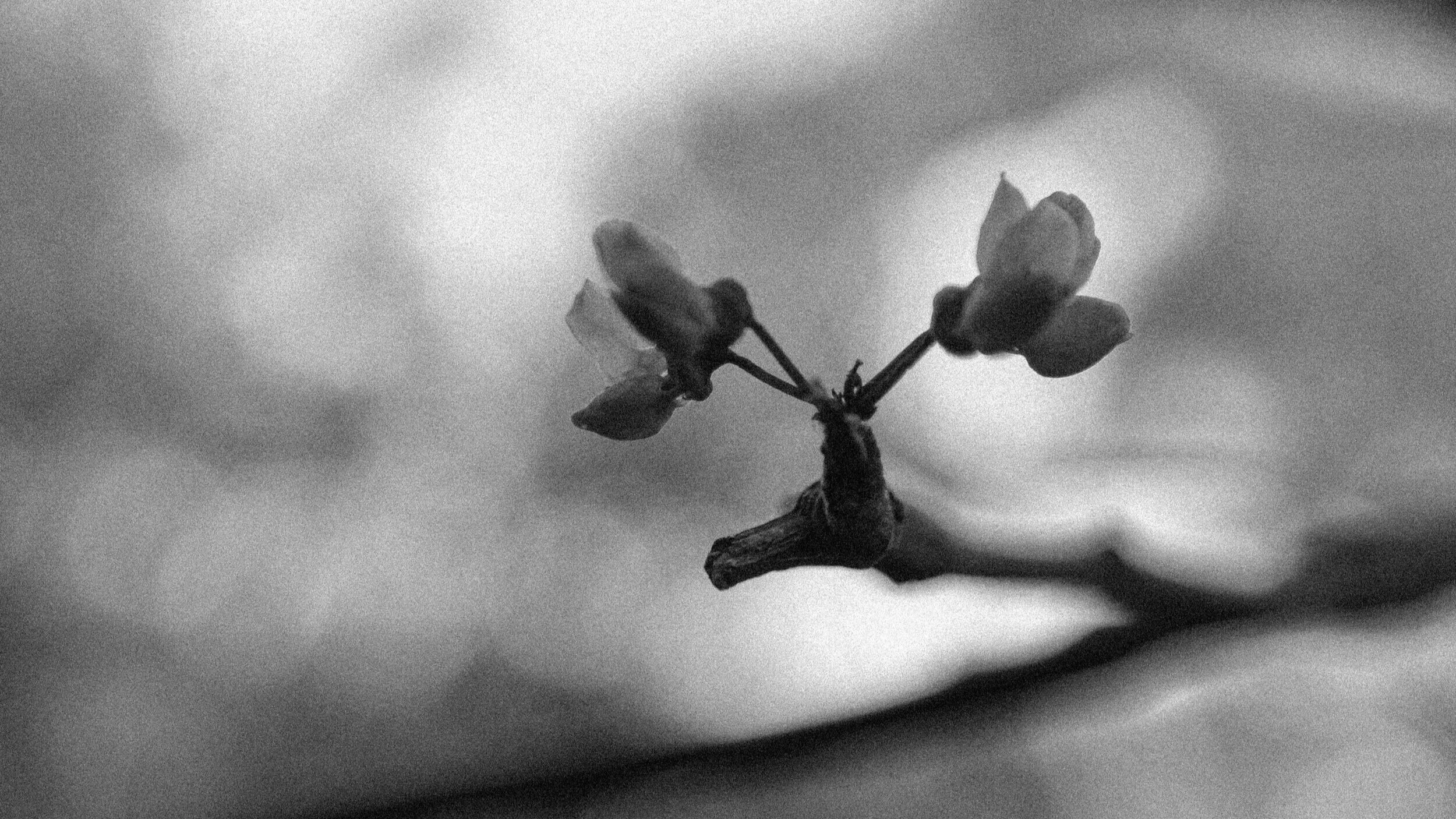 How to Survive the Grey Area of Dating