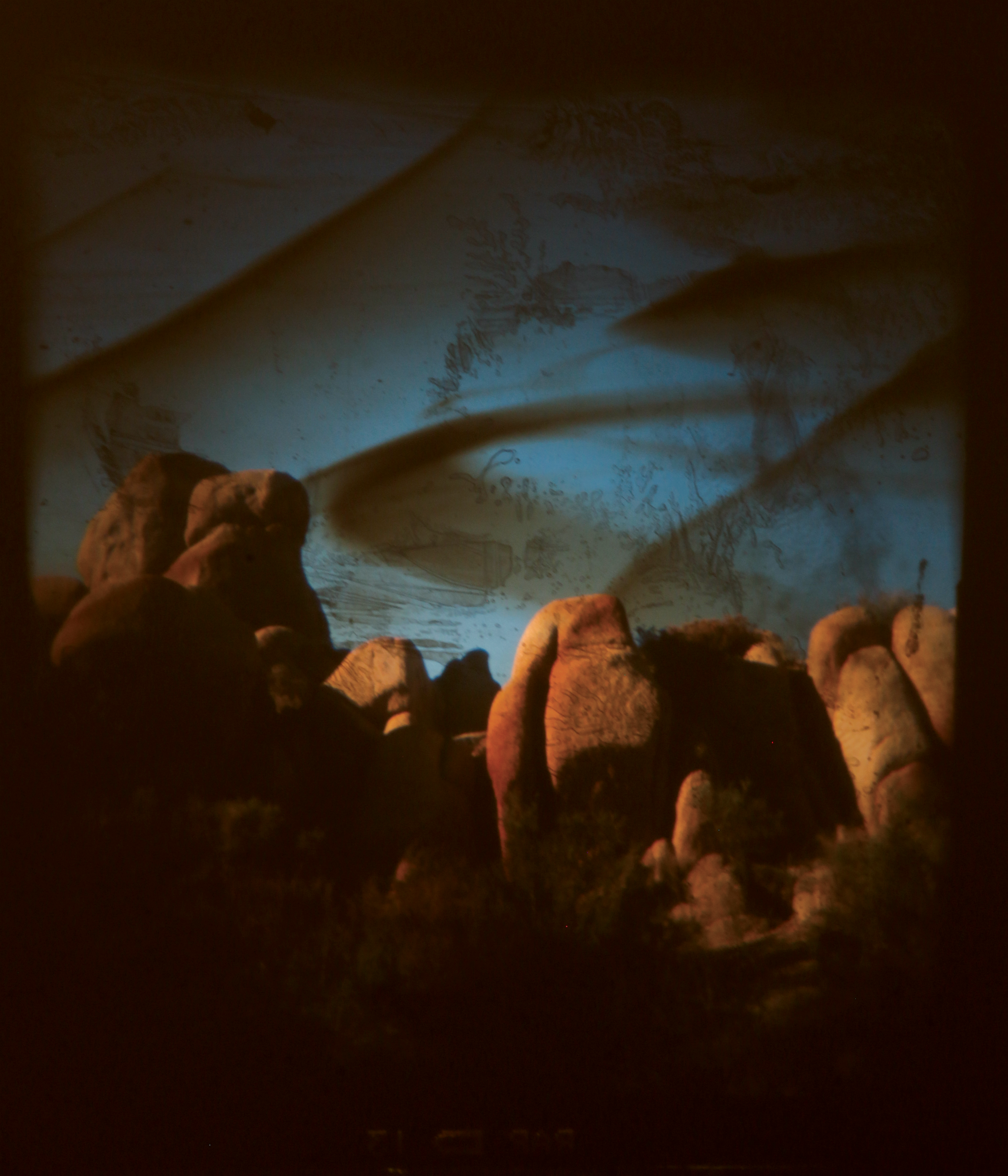 Dark Night, Joshua Tree