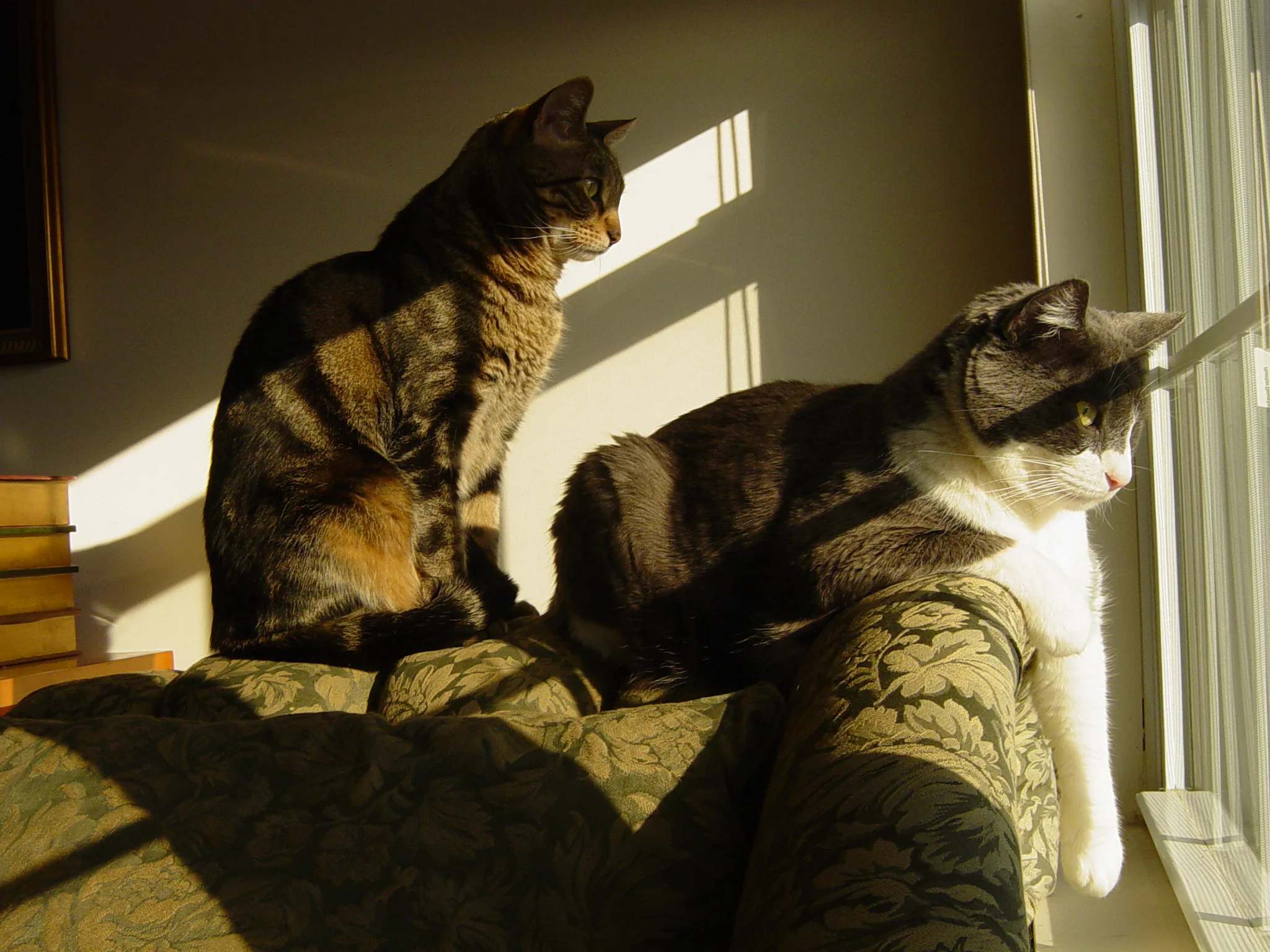  © 2017 Lee A. Litas | All Rights Reserved 